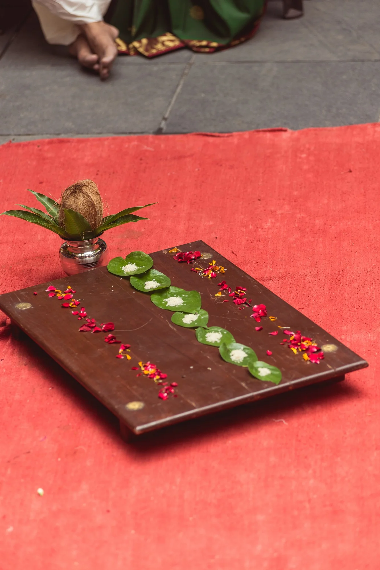 Low Res Prashin Jagger(0085).jpg