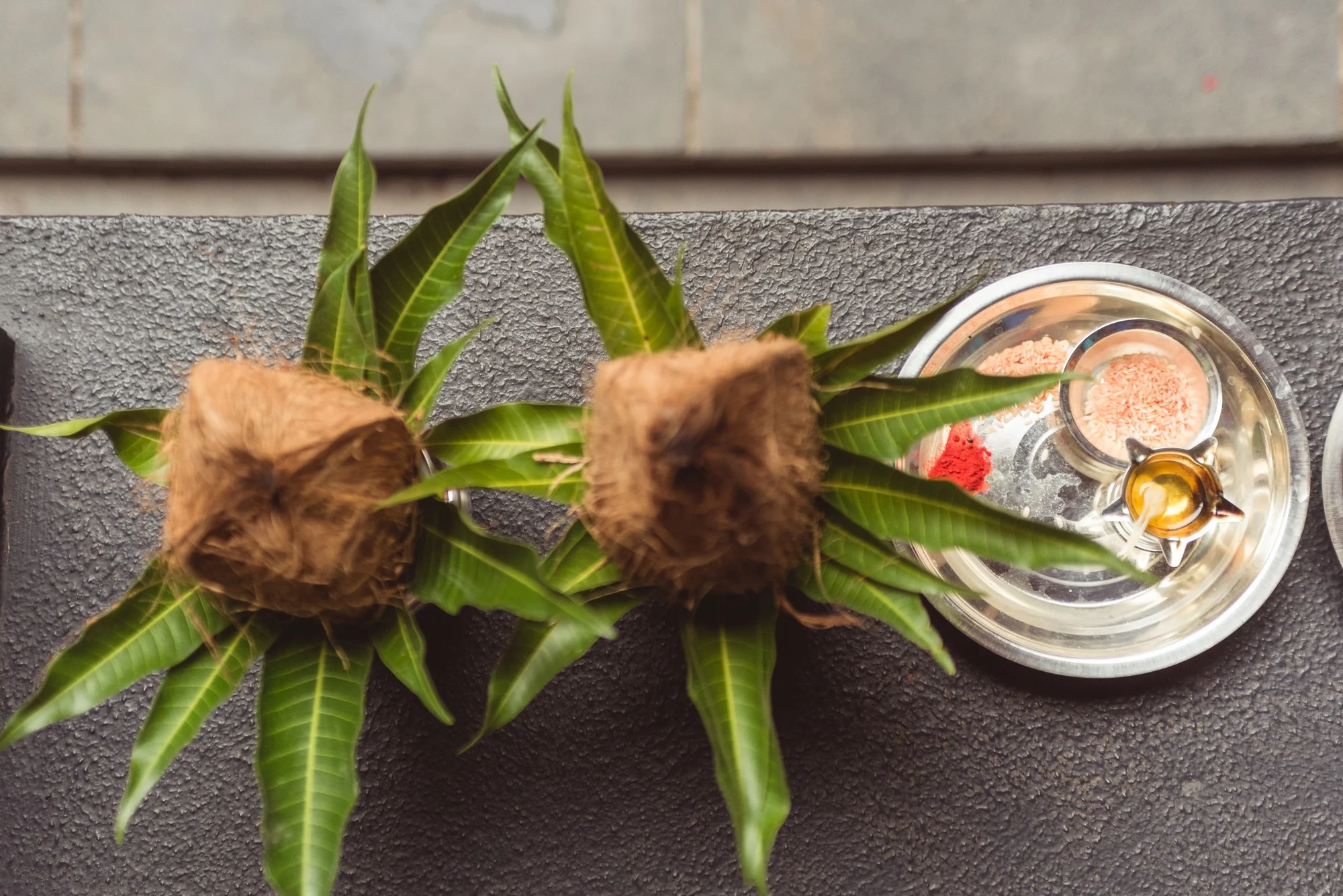 Low Res Prashin Jagger(0095).jpg