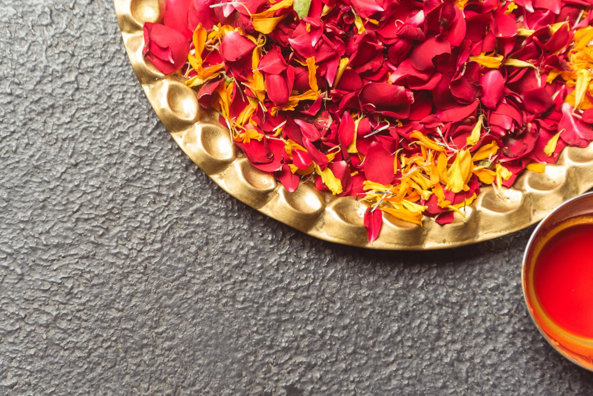 Low Res Prashin Jagger(0096).jpg