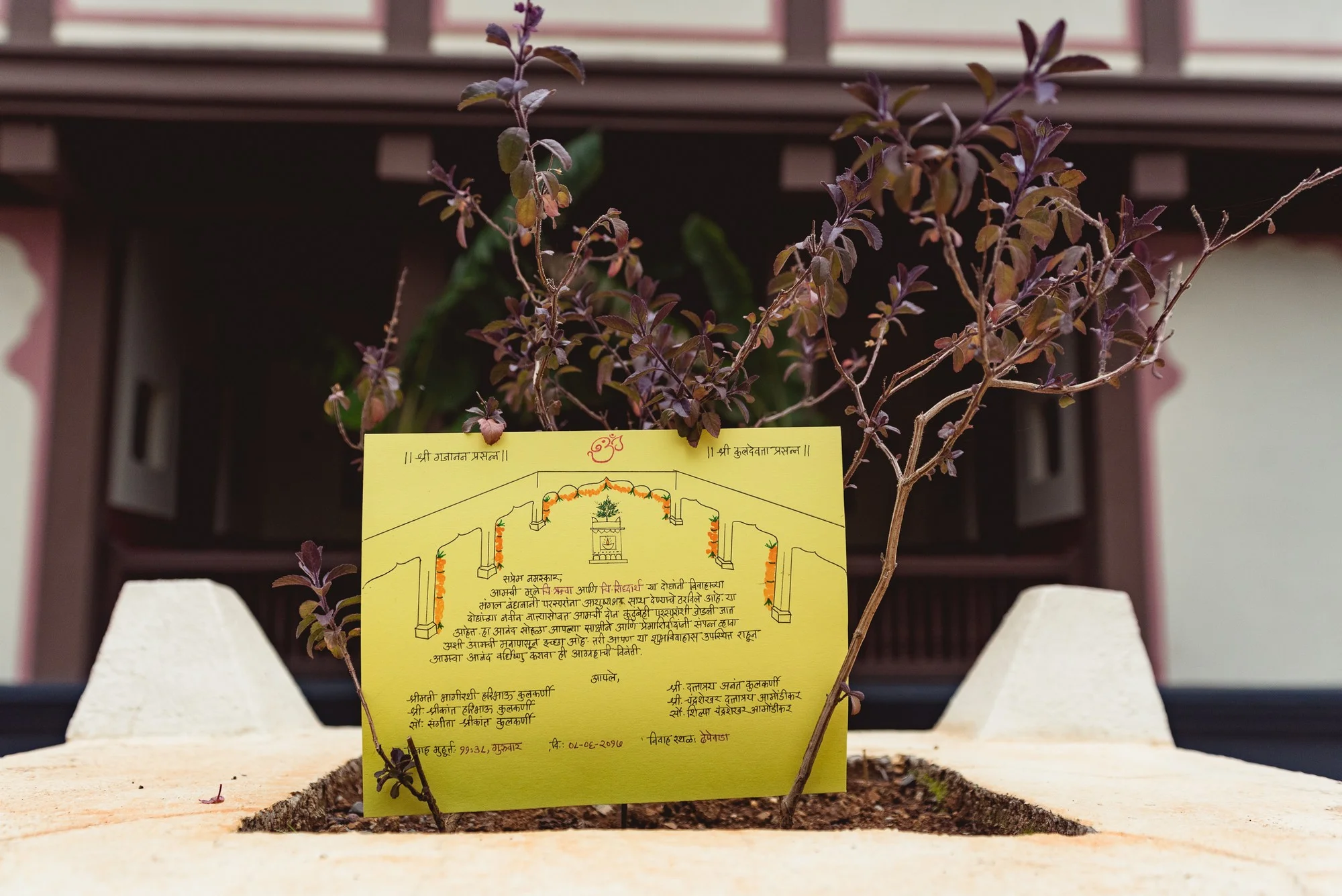 Low Res Prashin Jagger(0119).jpg