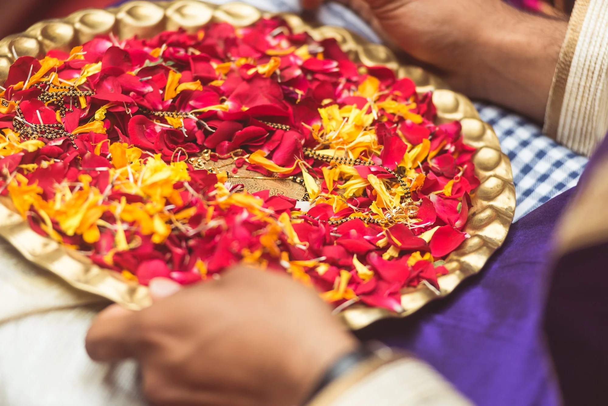 Low Res Prashin Jagger(0082).jpg