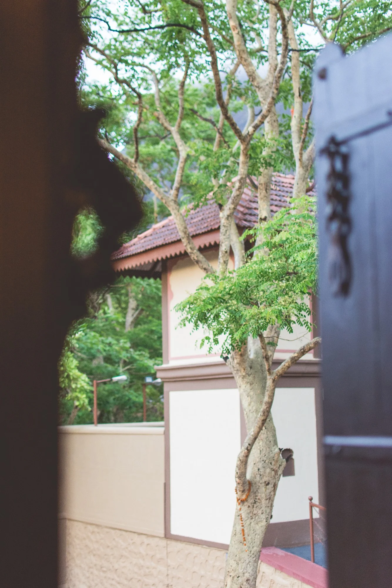 Low Res Prashin Jagger(0012).jpg