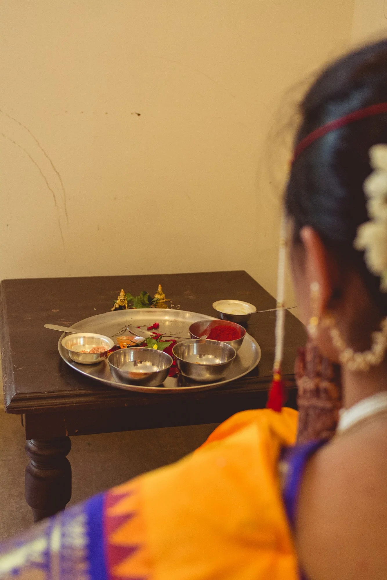 Low Res Prashin Jagger(0029).jpg