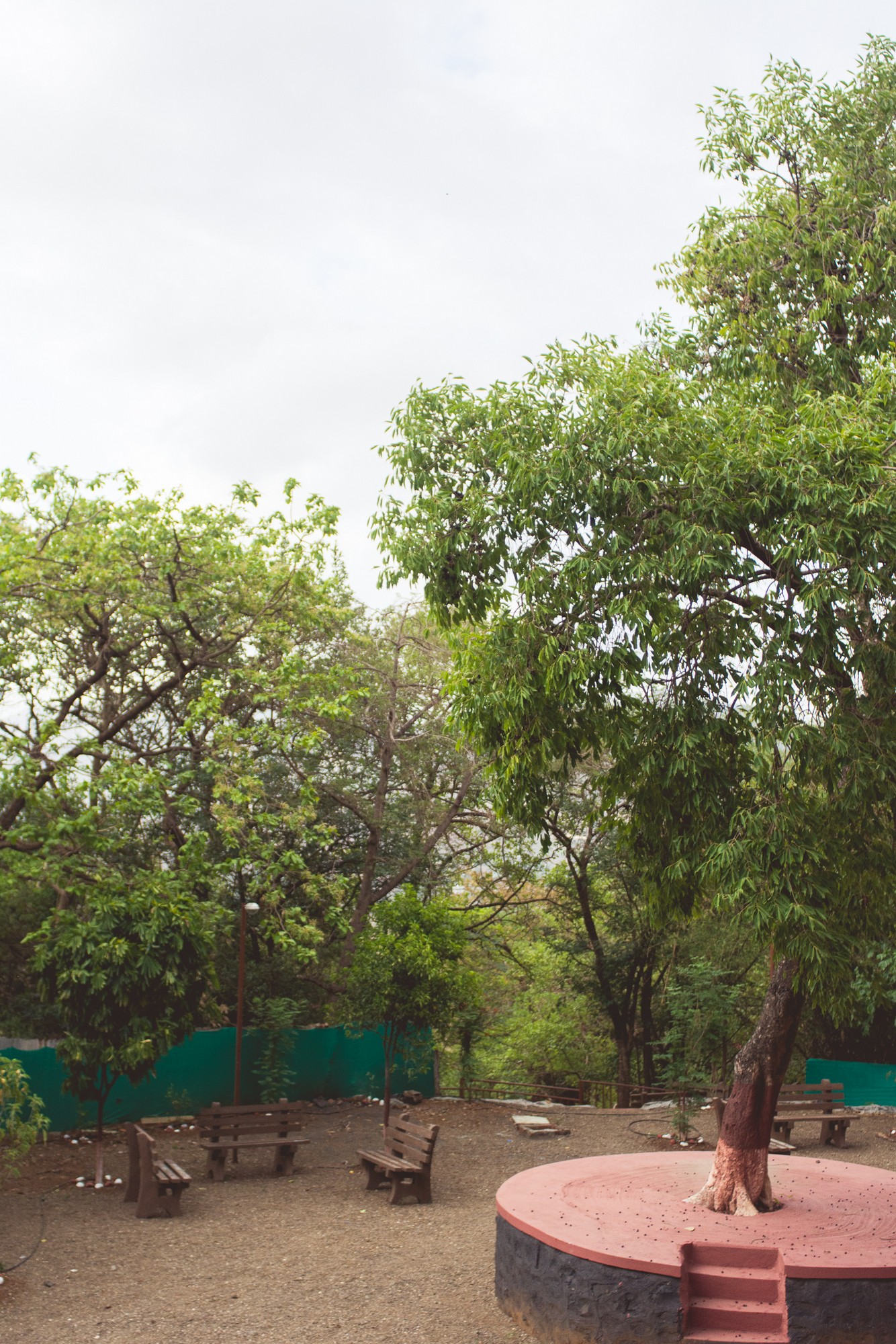 Low Res Prashin Jagger(0009).jpg