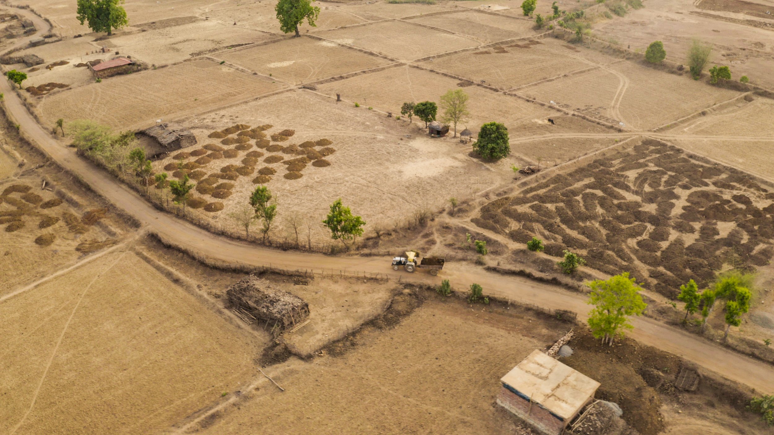 Photo- Prashin Jagger-795.jpg