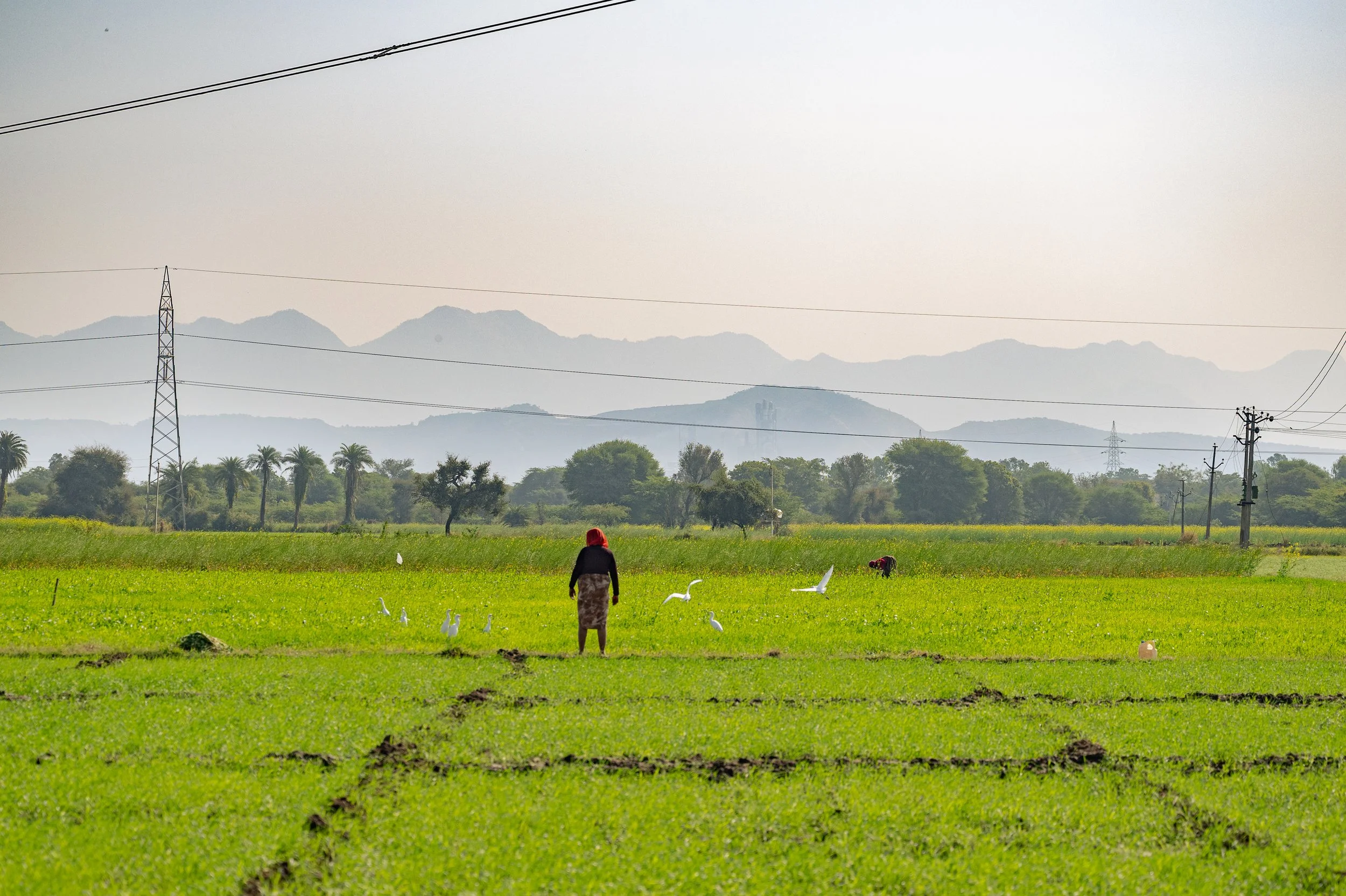 Photo by Prashin Jagger-1852.jpg