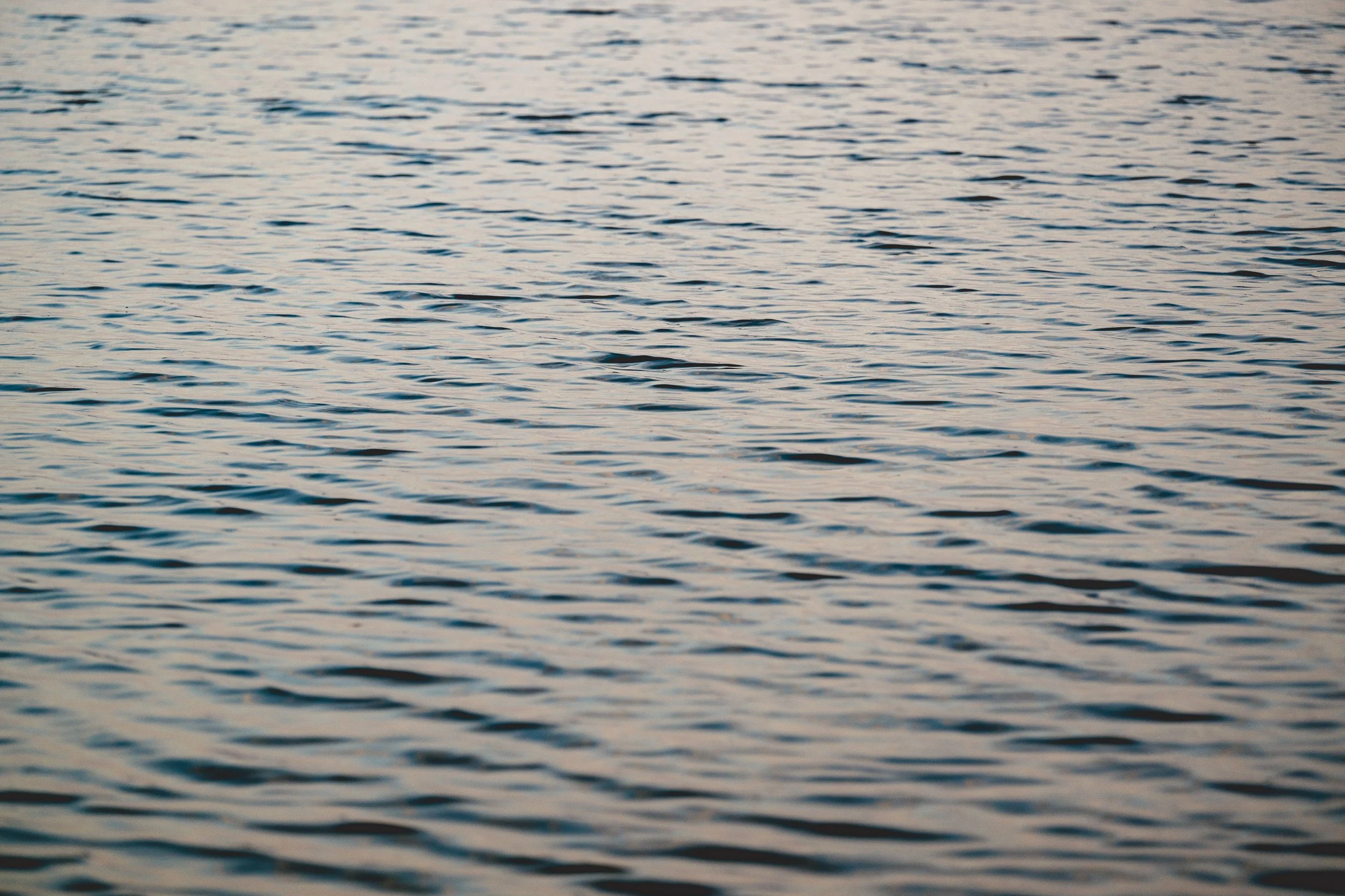 Photo by Prashin Jagger-1511.jpg