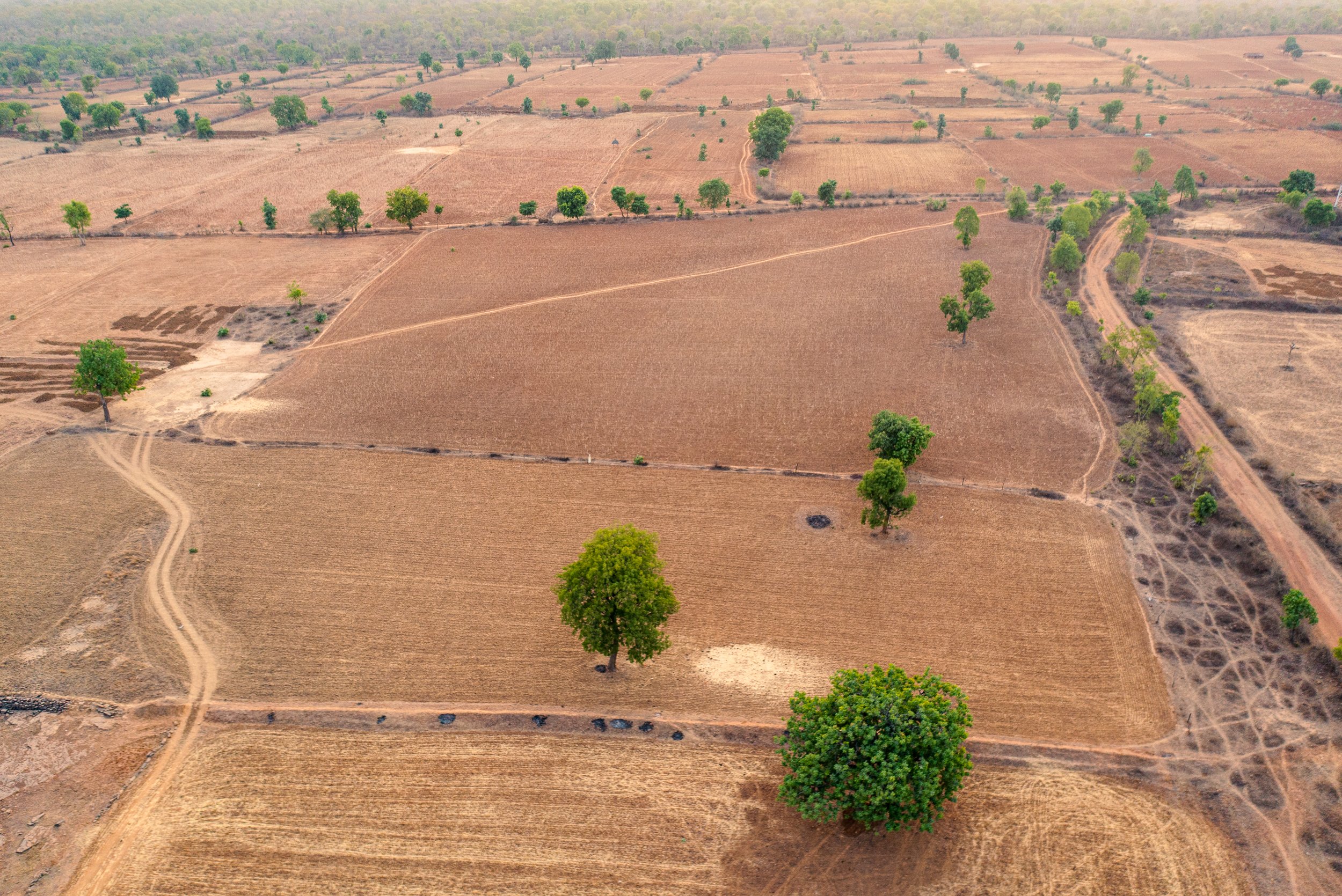 Photo- Prashin Jagger-0664.jpg