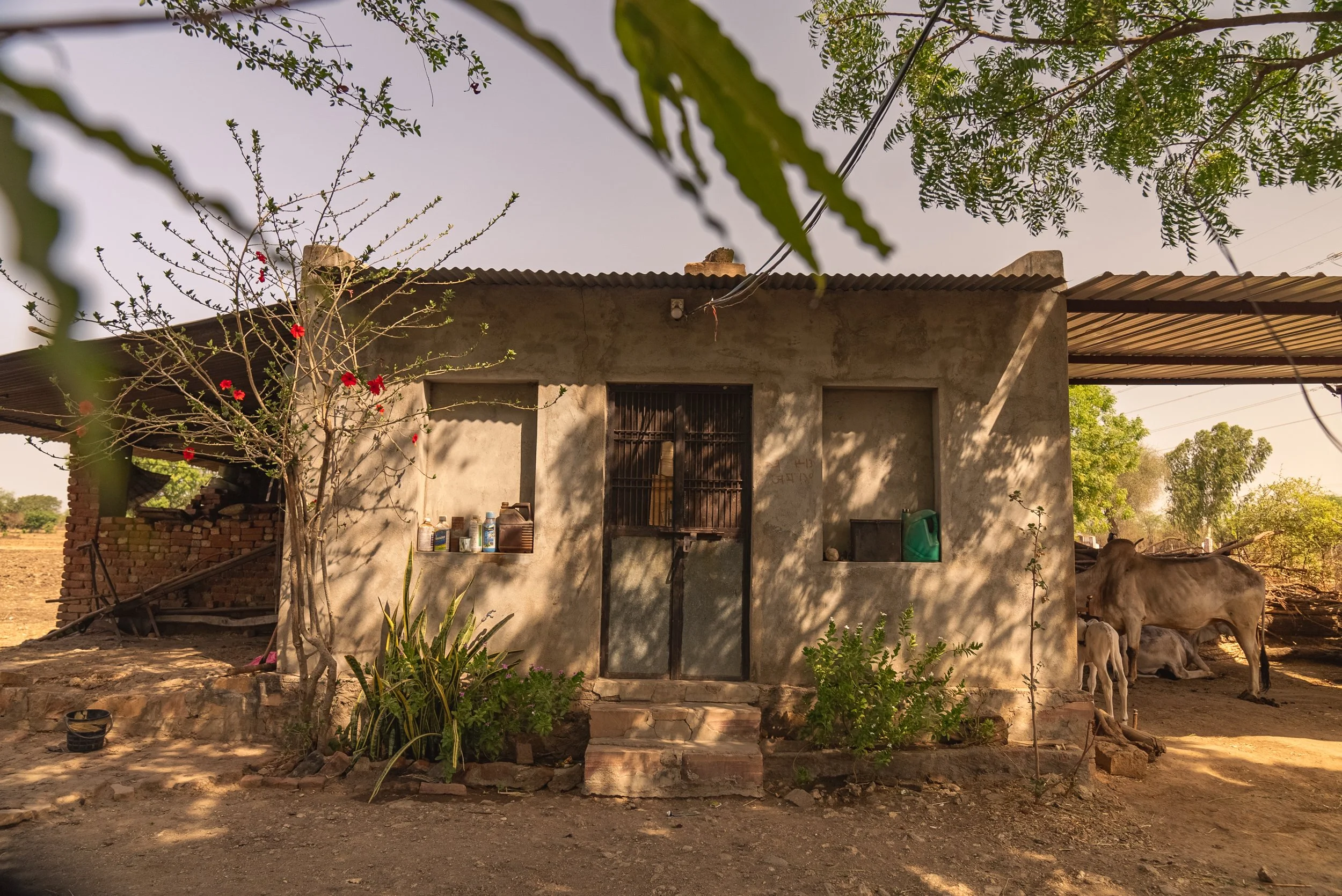 Photo- Prashin Jagger-00224-2.jpg