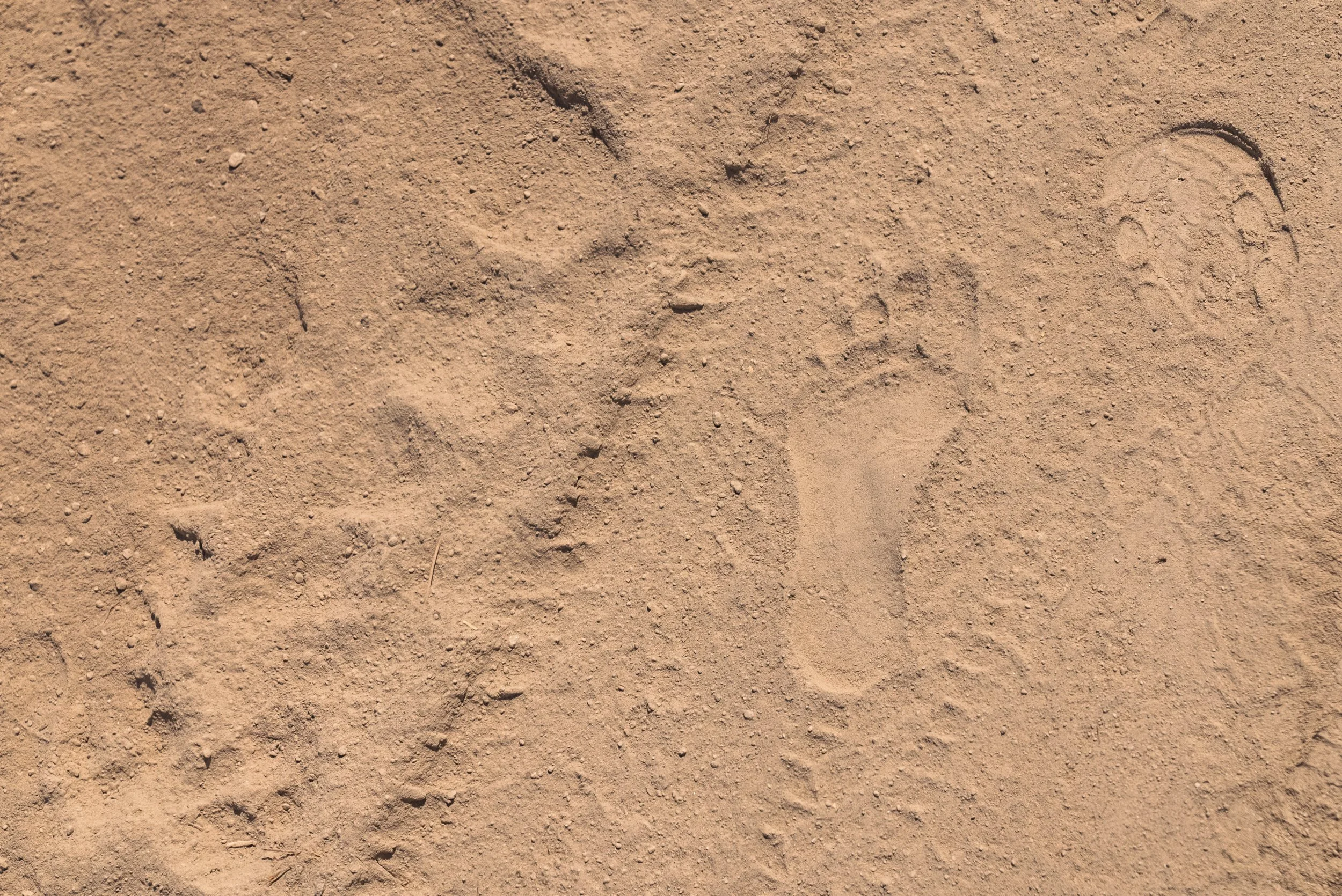 Photo- Prashin Jagger-00234.jpg