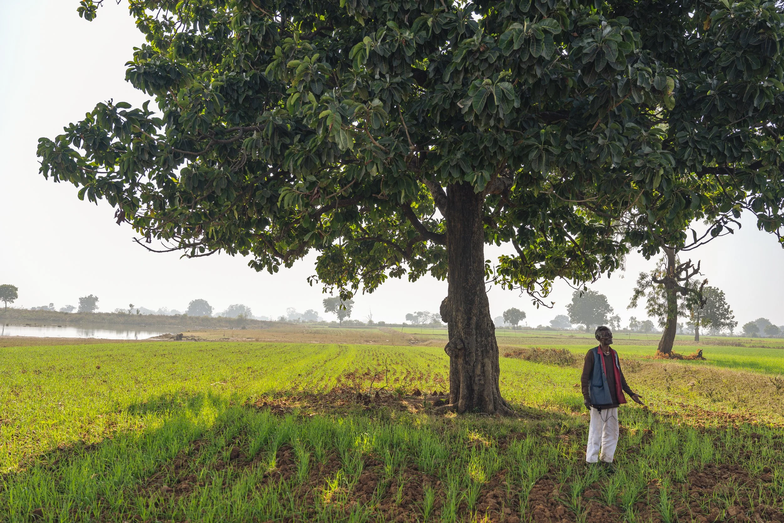 Photo by Prashin Jagger-1286.jpg