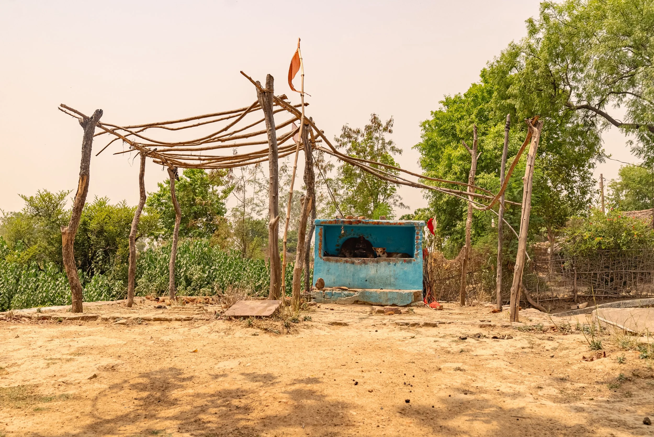 Photo- Prashin Jagger-00292.jpg