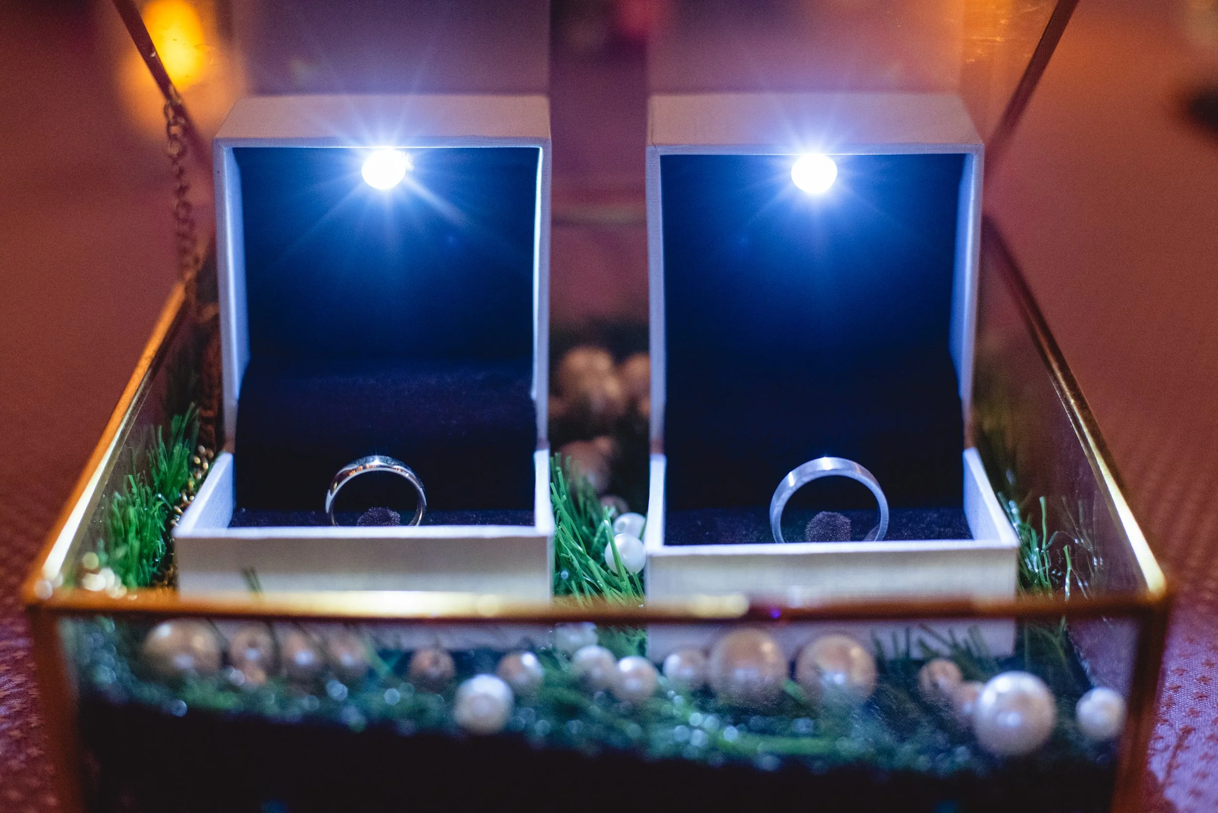 Photo- Prashin Jagger-6459.jpg