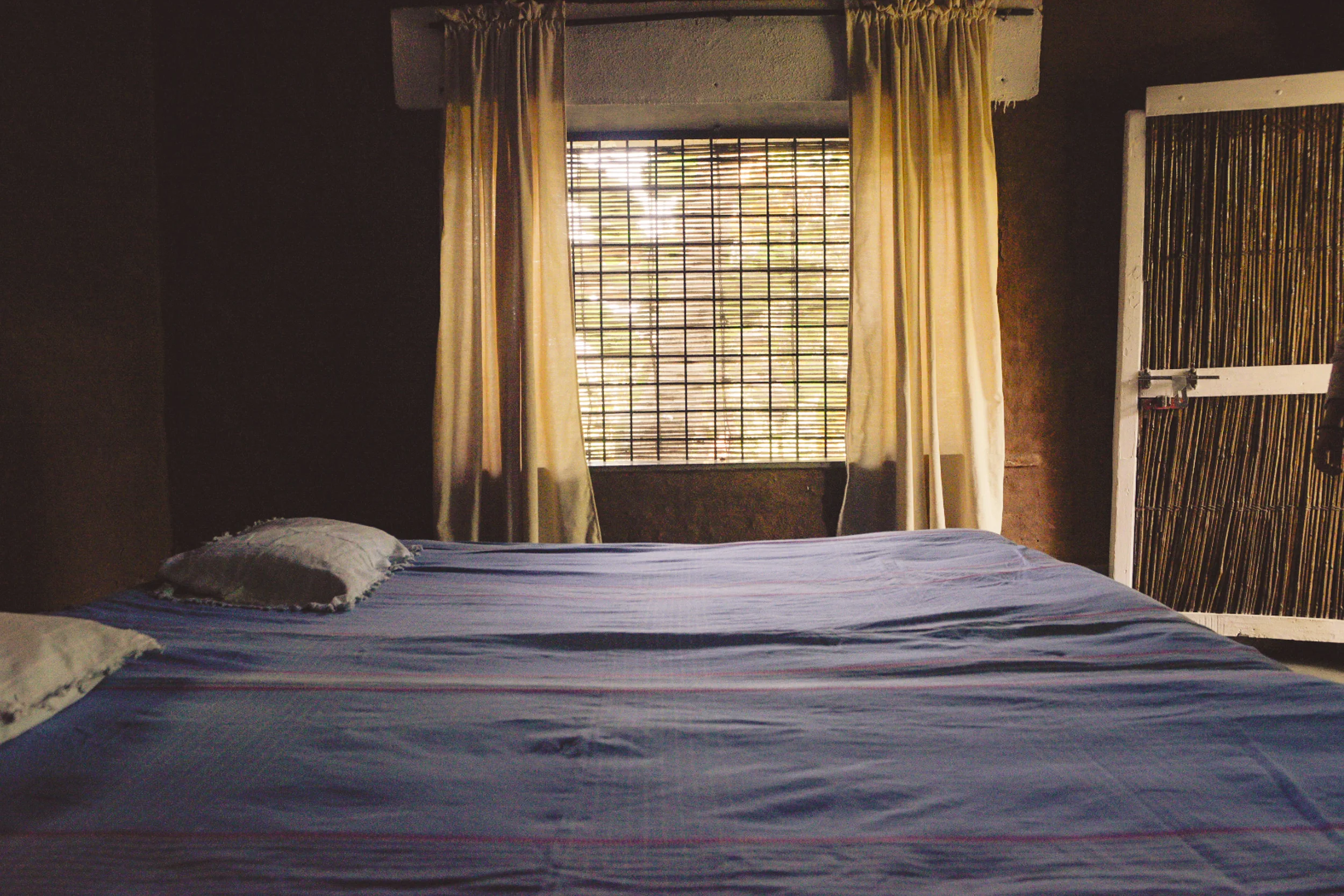 Photo - Prashin Jagger -1373.jpg