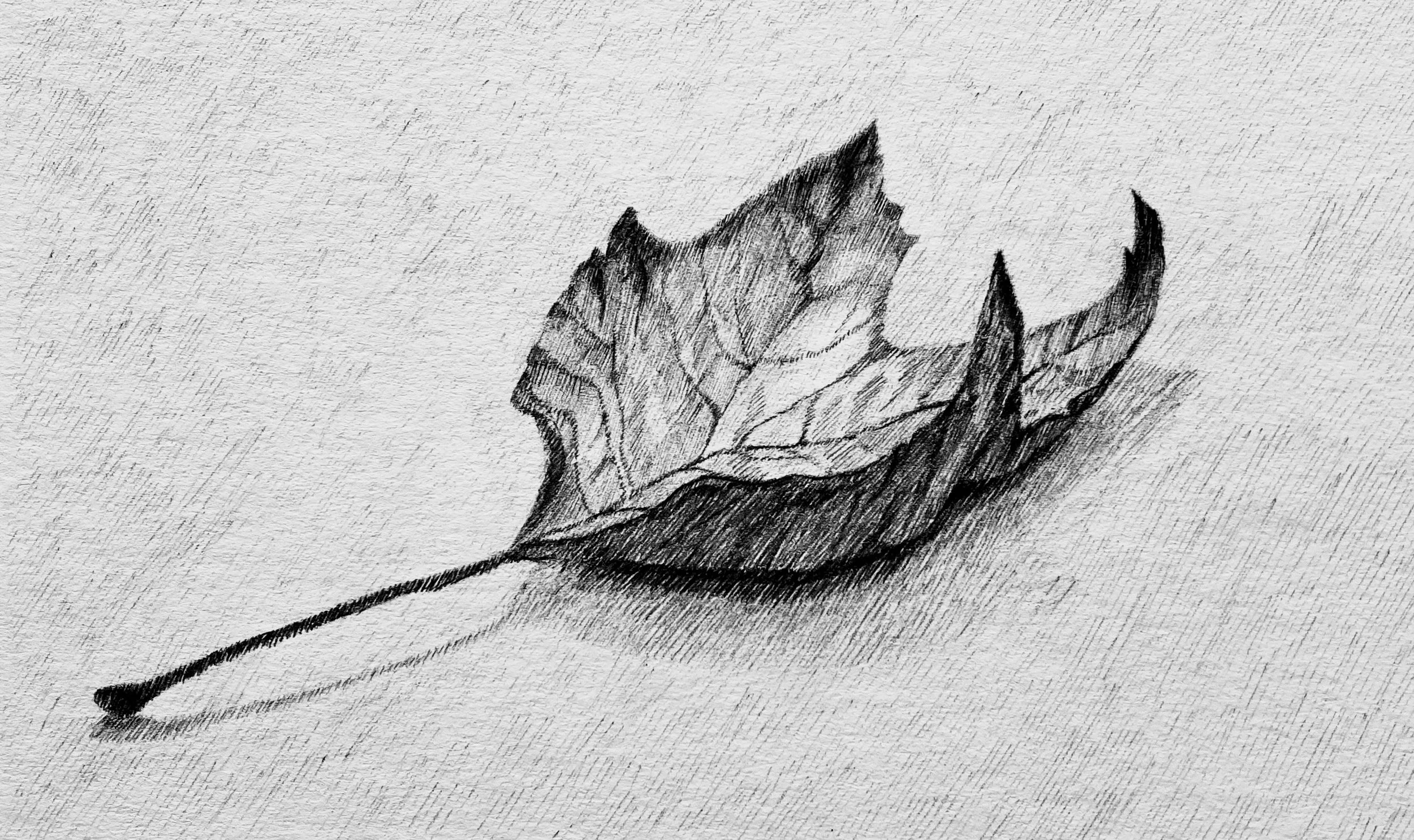 Pen on watercolor paper (12” x 8”)
