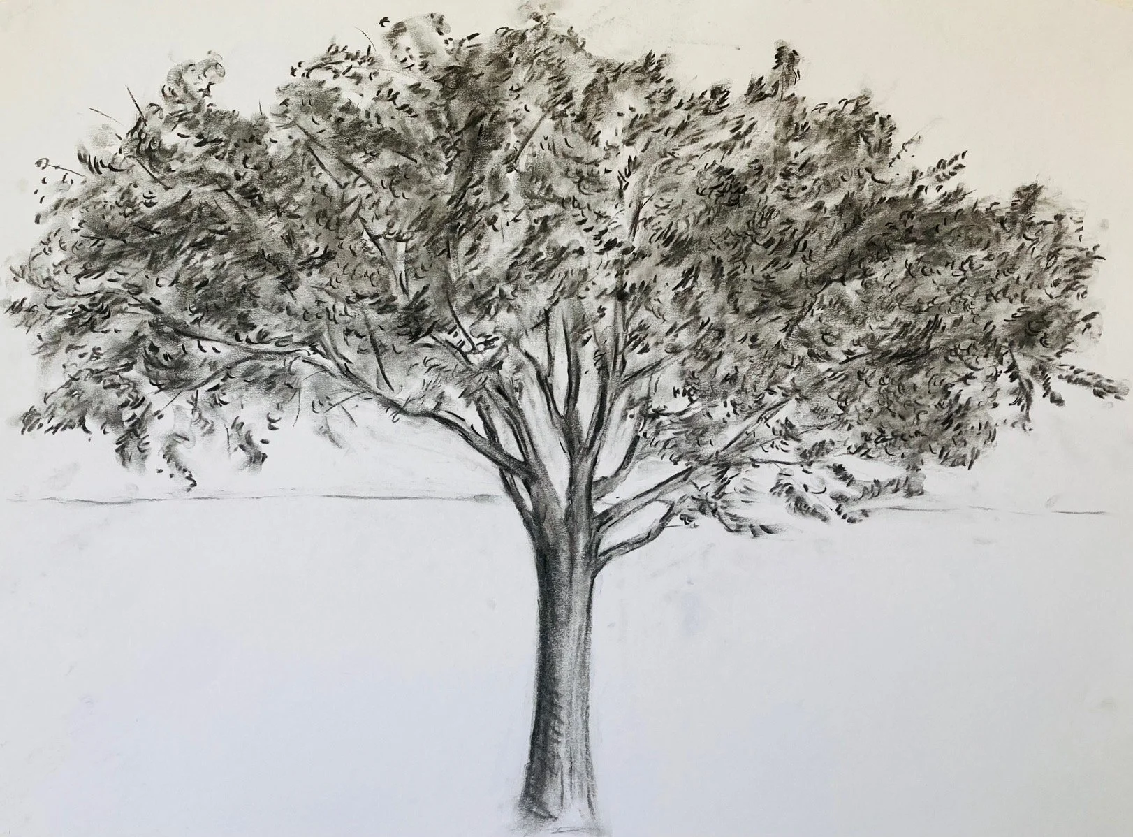 Wine charcoal on paper 2025 