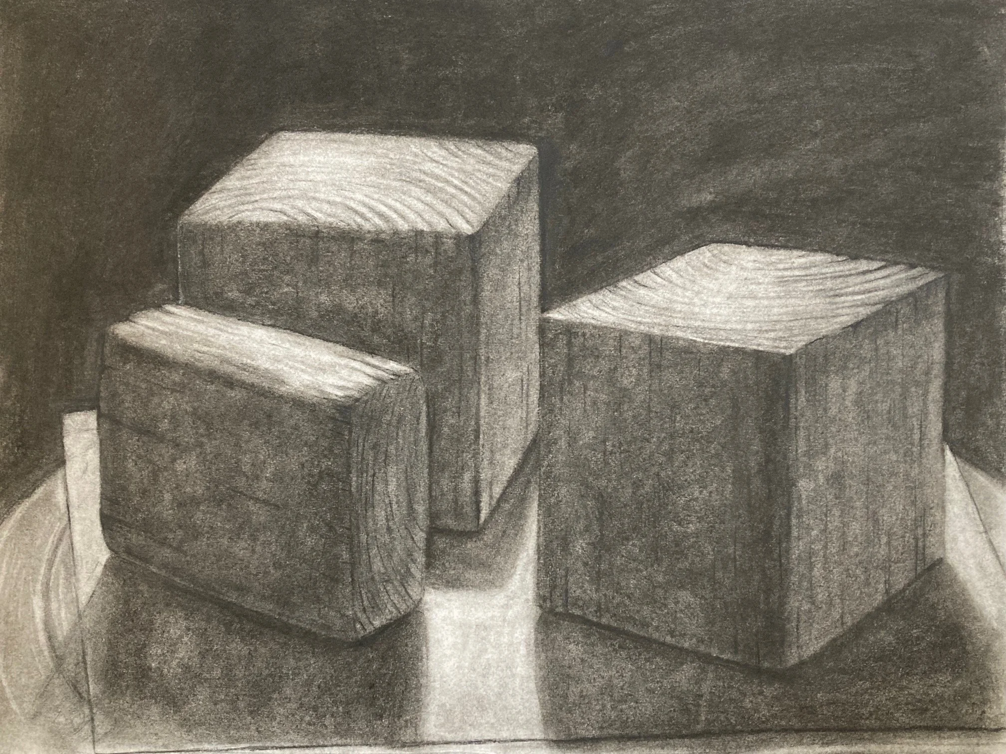 Charcoal on paper (16” x 24”) 