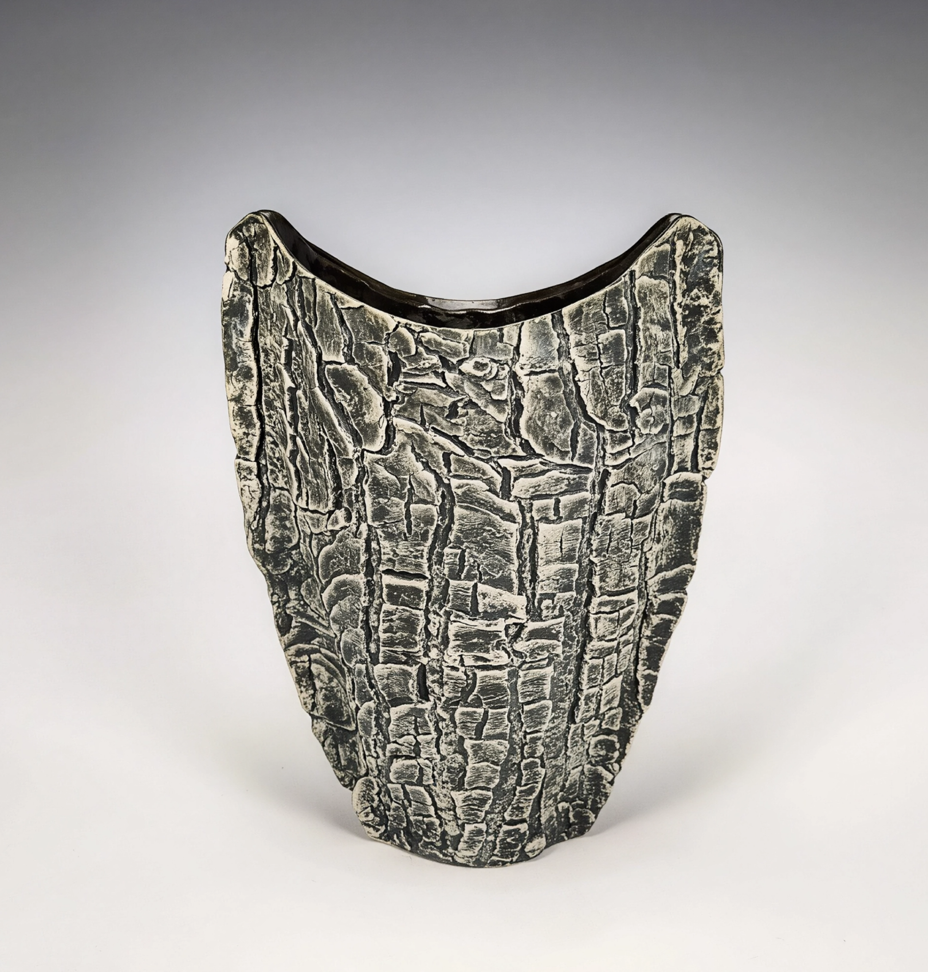 Damaged Wood Vase. Texture captured from Red Maple Bark infected with target canker fungus. Reverse of vase is bark with carved initials captured on same trail. Both trees were thriving despite damage. 2025.