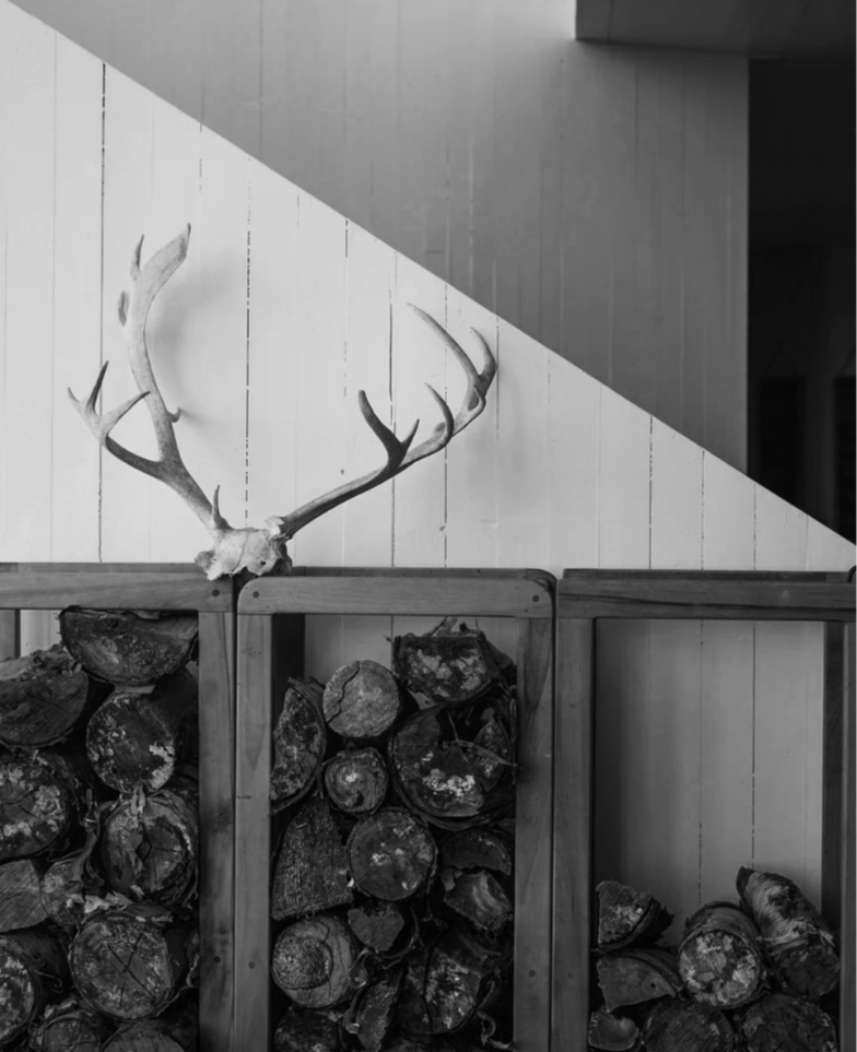 A set of stacked firewood logs with a mounted deer antler on a wooden wall.