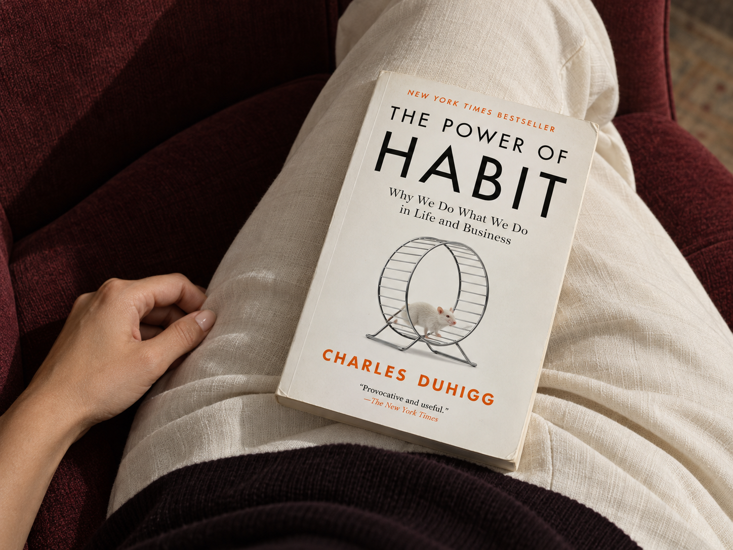 The Power of Habit