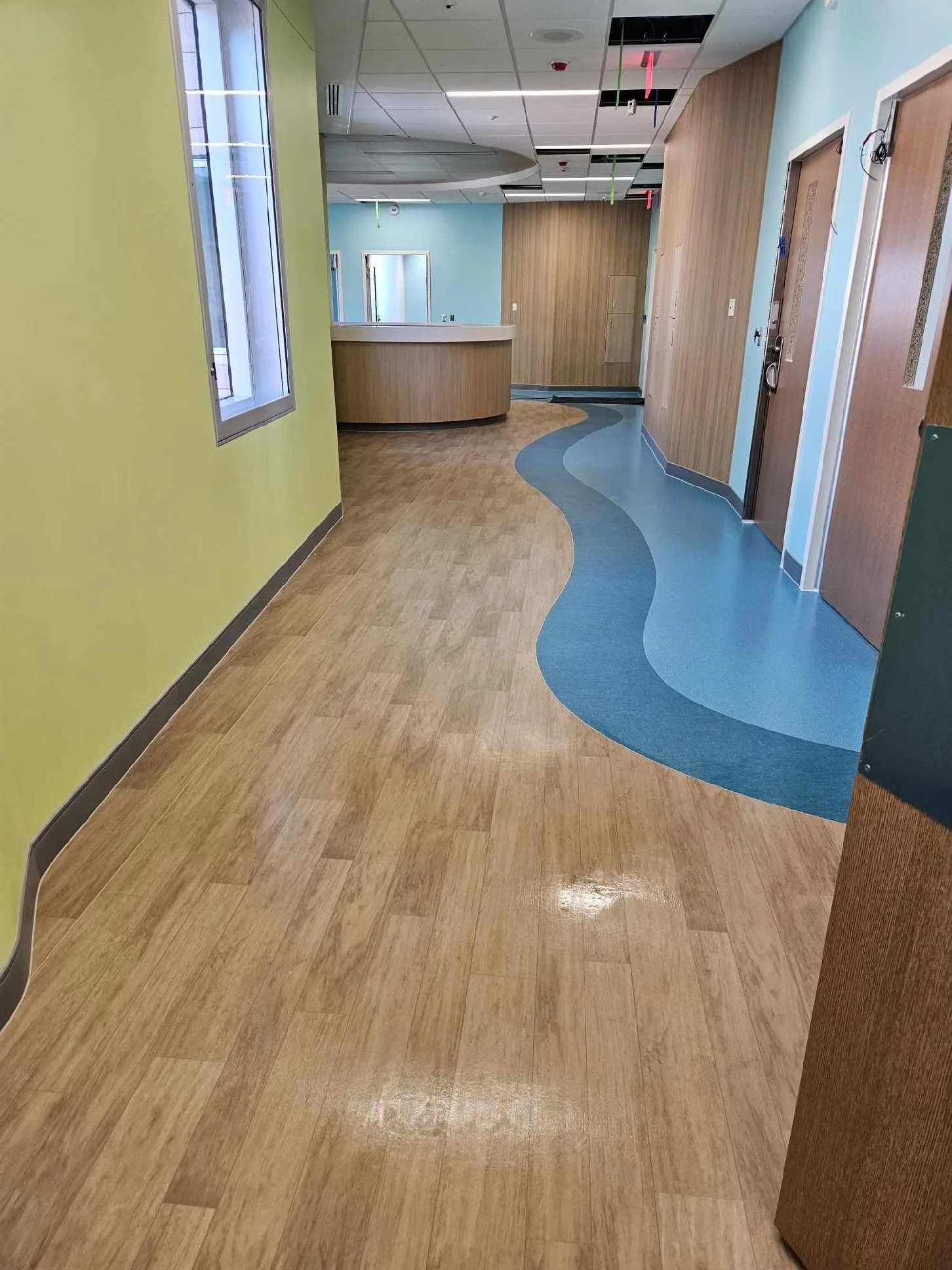 Empty hospital or medical facility hallway with wood and blue flooring, green and blue walls, and closed wooden doors.