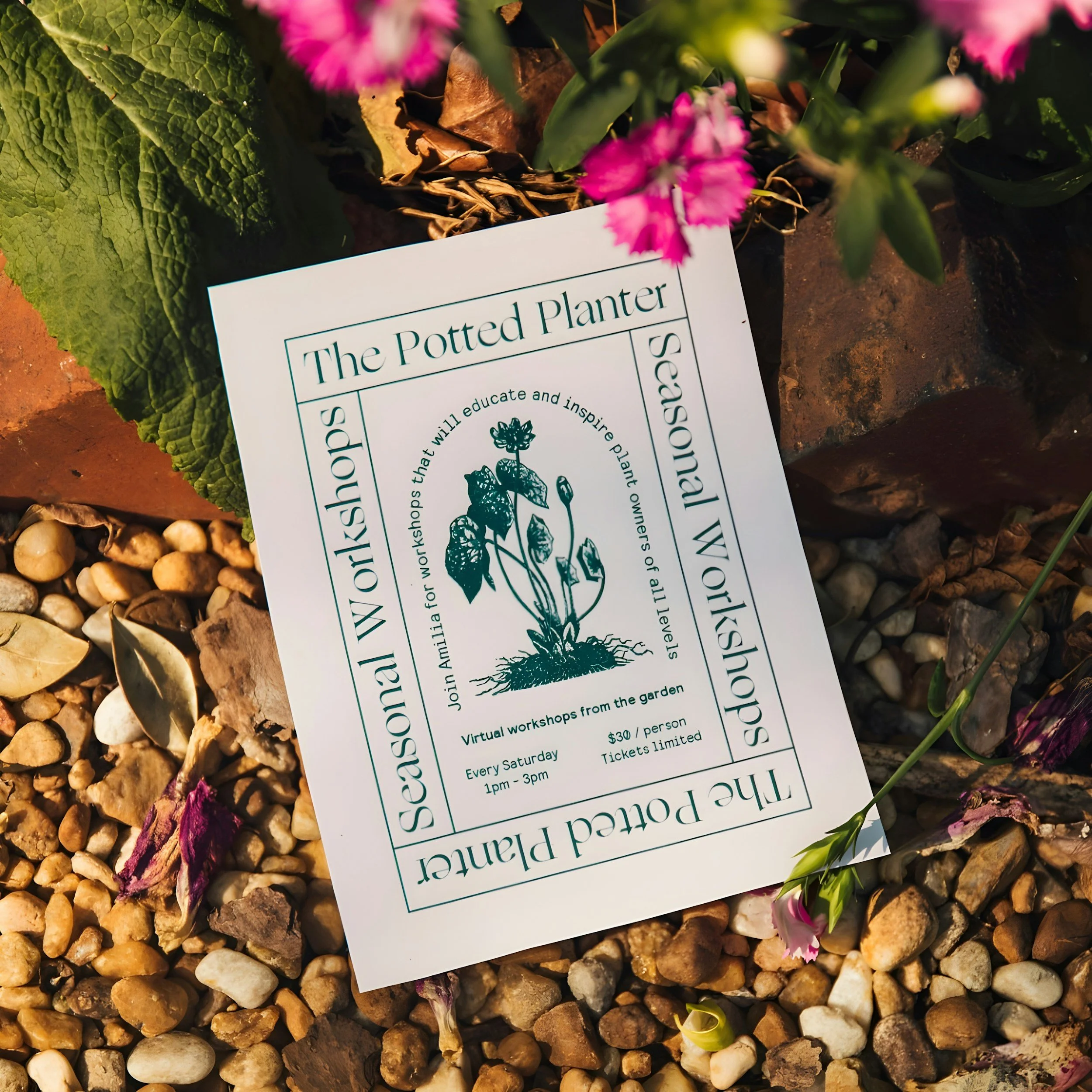 How to Start a Business Without Fear: The Power of Small Tests and Minimum Viable Products