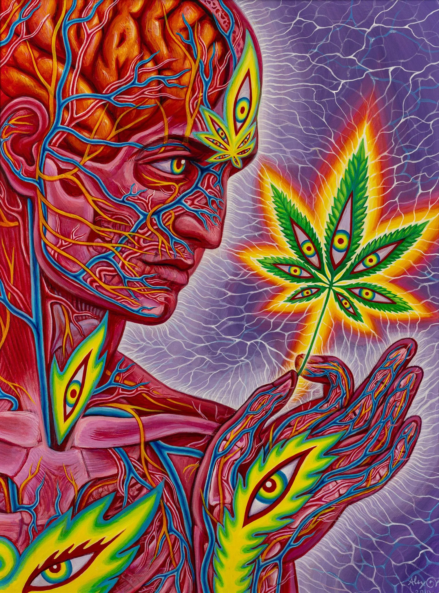 Cannabis Sutra (2007) |  Acrylic on canvas | 40" x 30" | Available for purchase