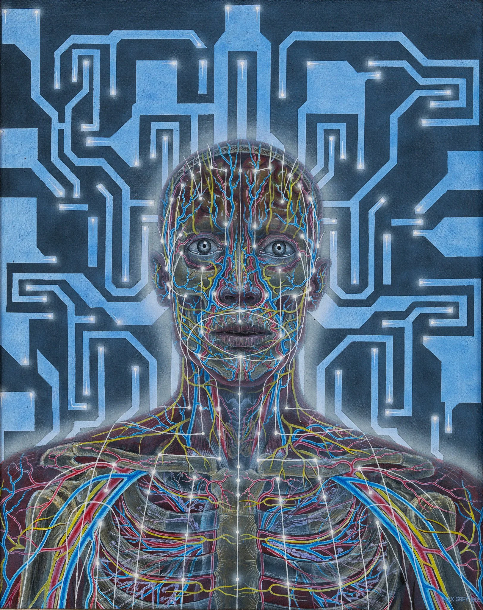 Networks (1985) | Acrylic on linen | 24" x 30"