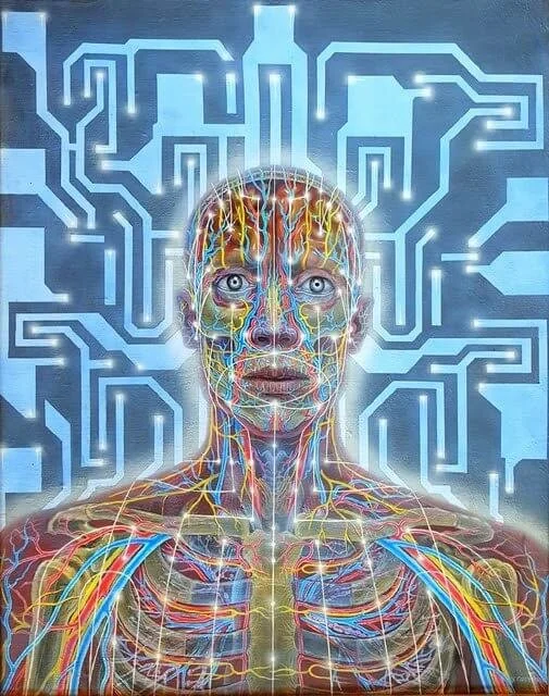Networks (1985) | Acrylic on linen | 24" x 30"