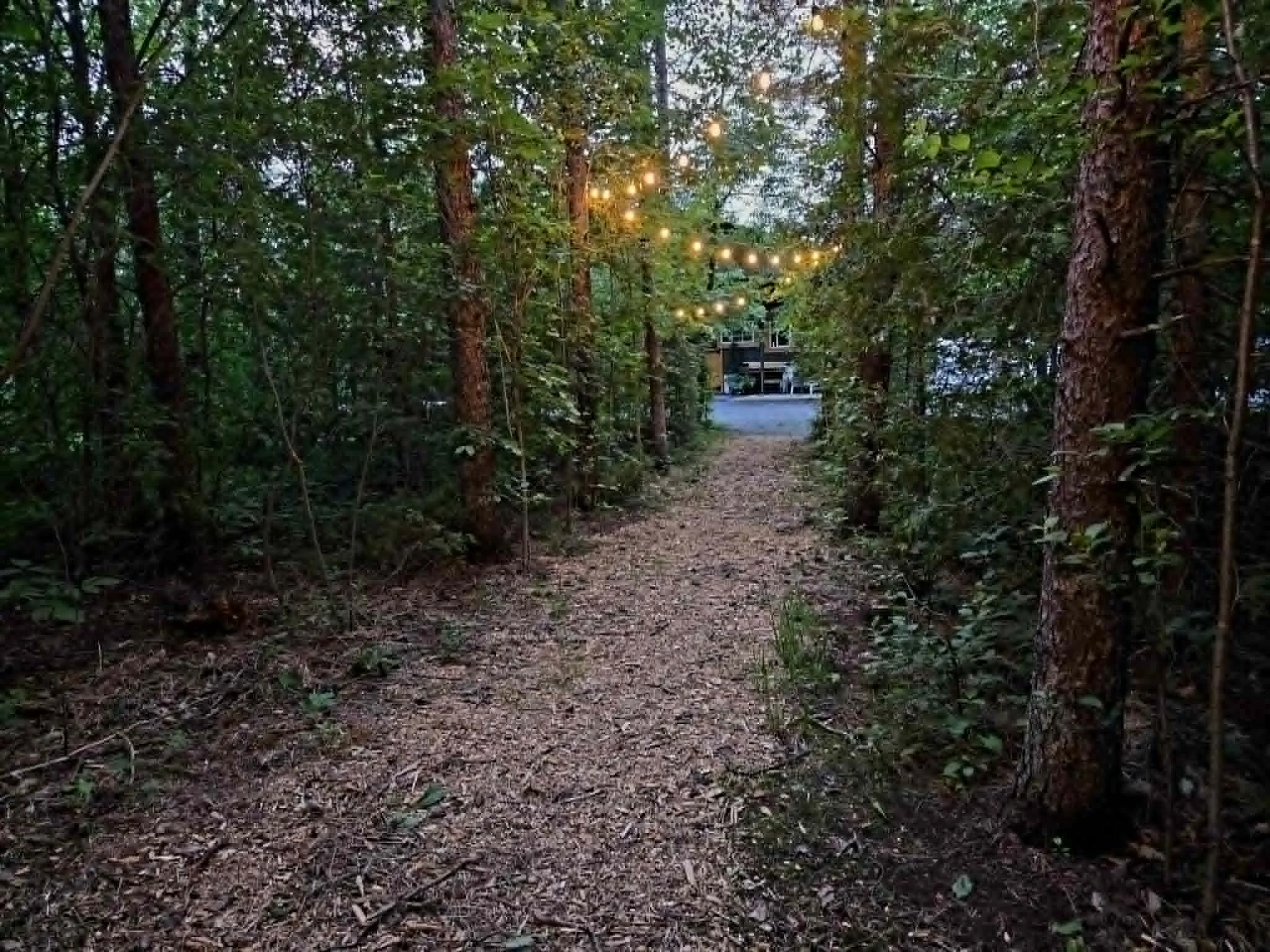 A wooded outdoor pathway lined with tall trees and green foliage. String lights are hanging across the pathway between trees, creating a warm, inviting atmosphere. In the background, a building or house is partially visible through the trees.