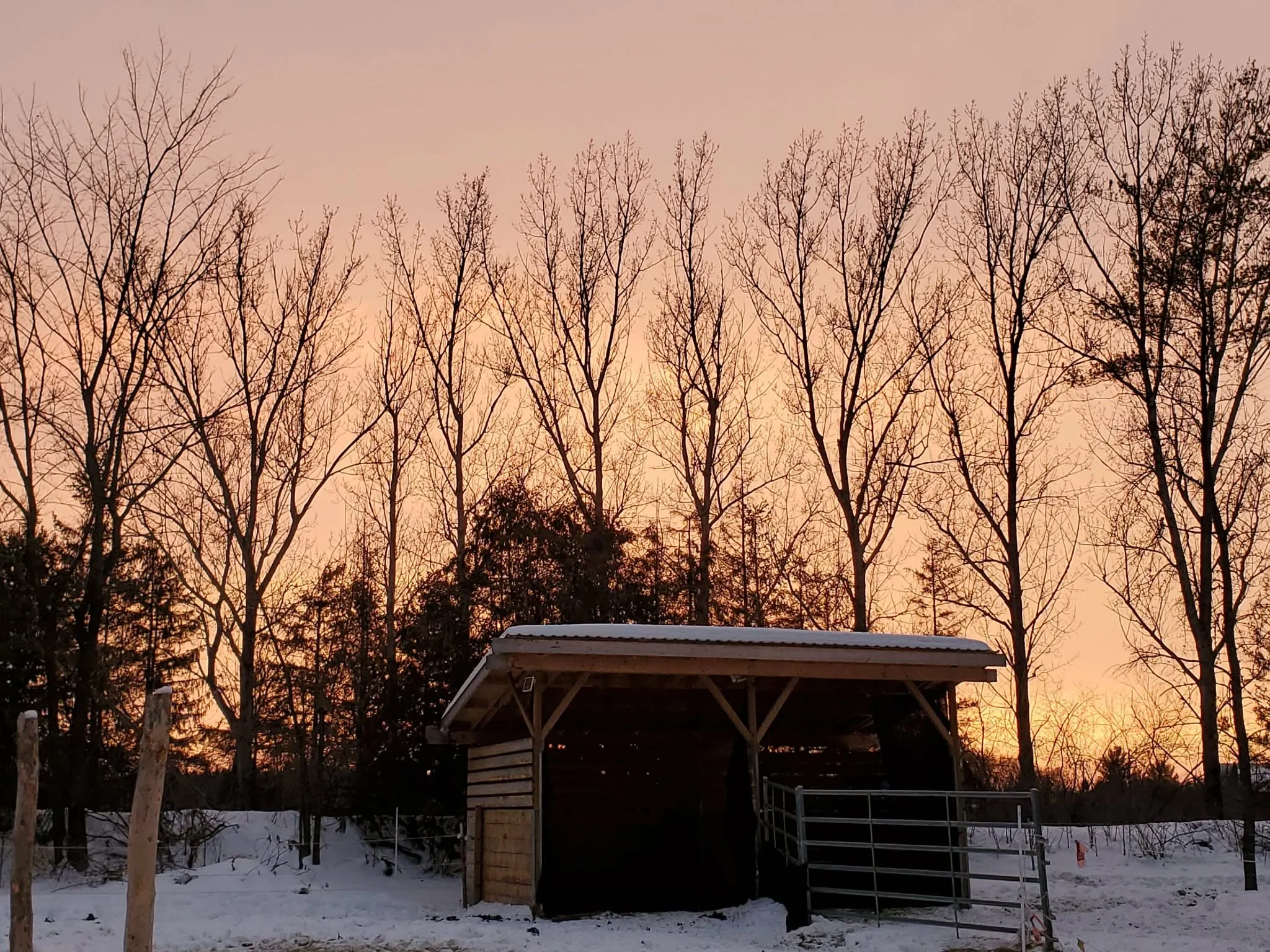 A horse shelter with snow-covered ground, set against a sunset sky with a gradient of orange and pink colors.