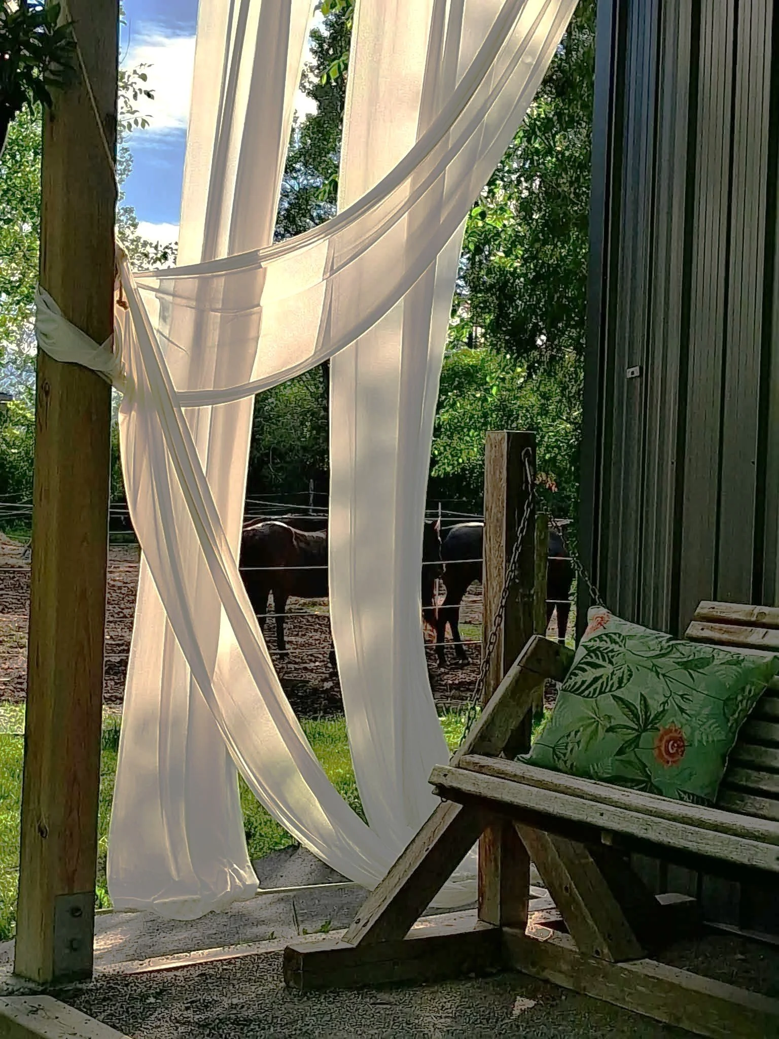 And outdoor wedding setup with dappled shade on draped fabric, a cozy wooden swing, and hoses in the background.
