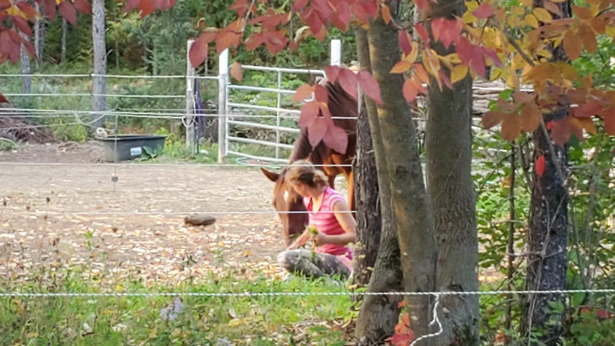 A young woman shares a horse experience with a brown horse who nuzzles her. 