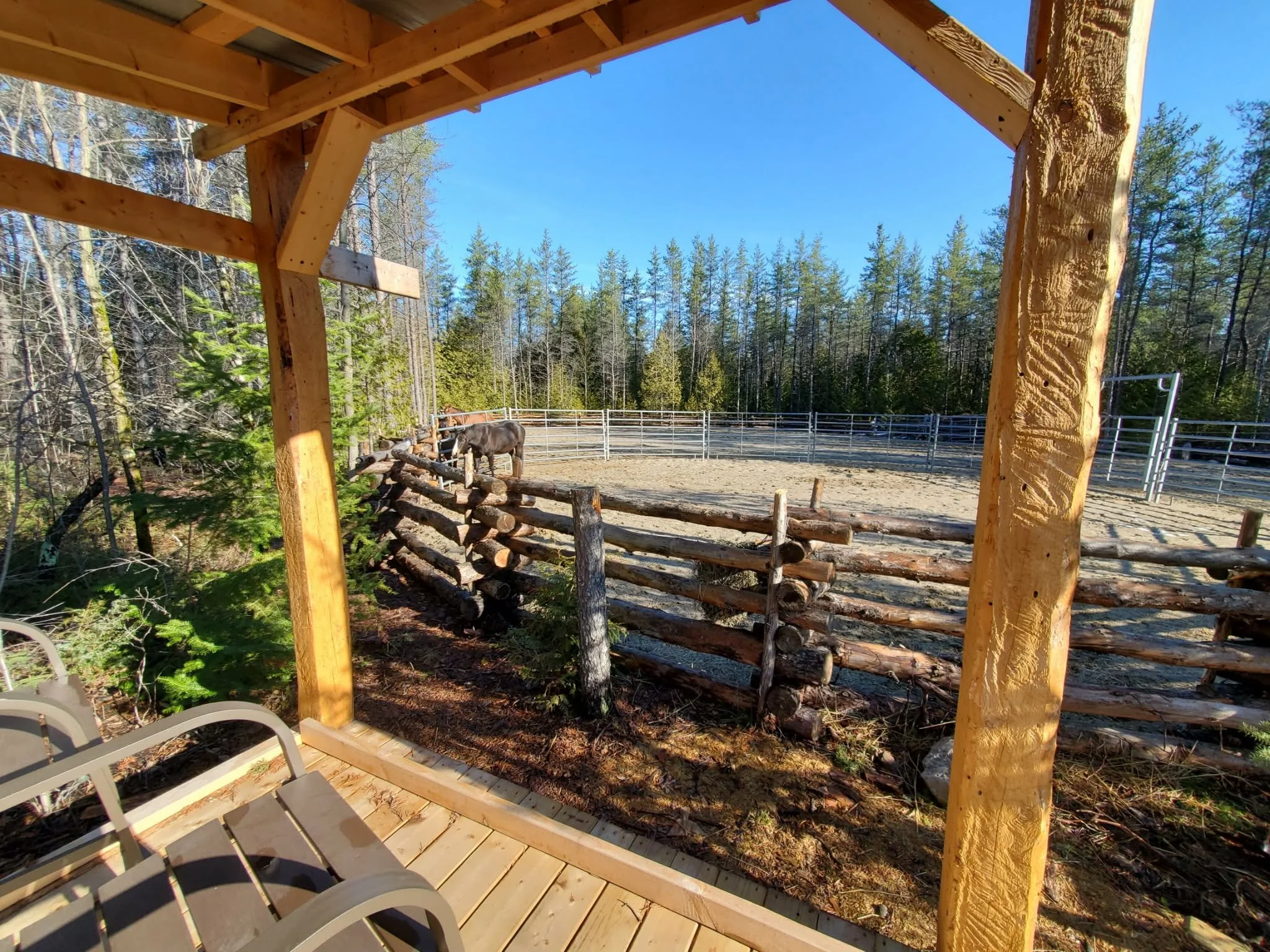 A wooden gazebo to observe horses in a log fence riding arena, with trees and a horse in the background.