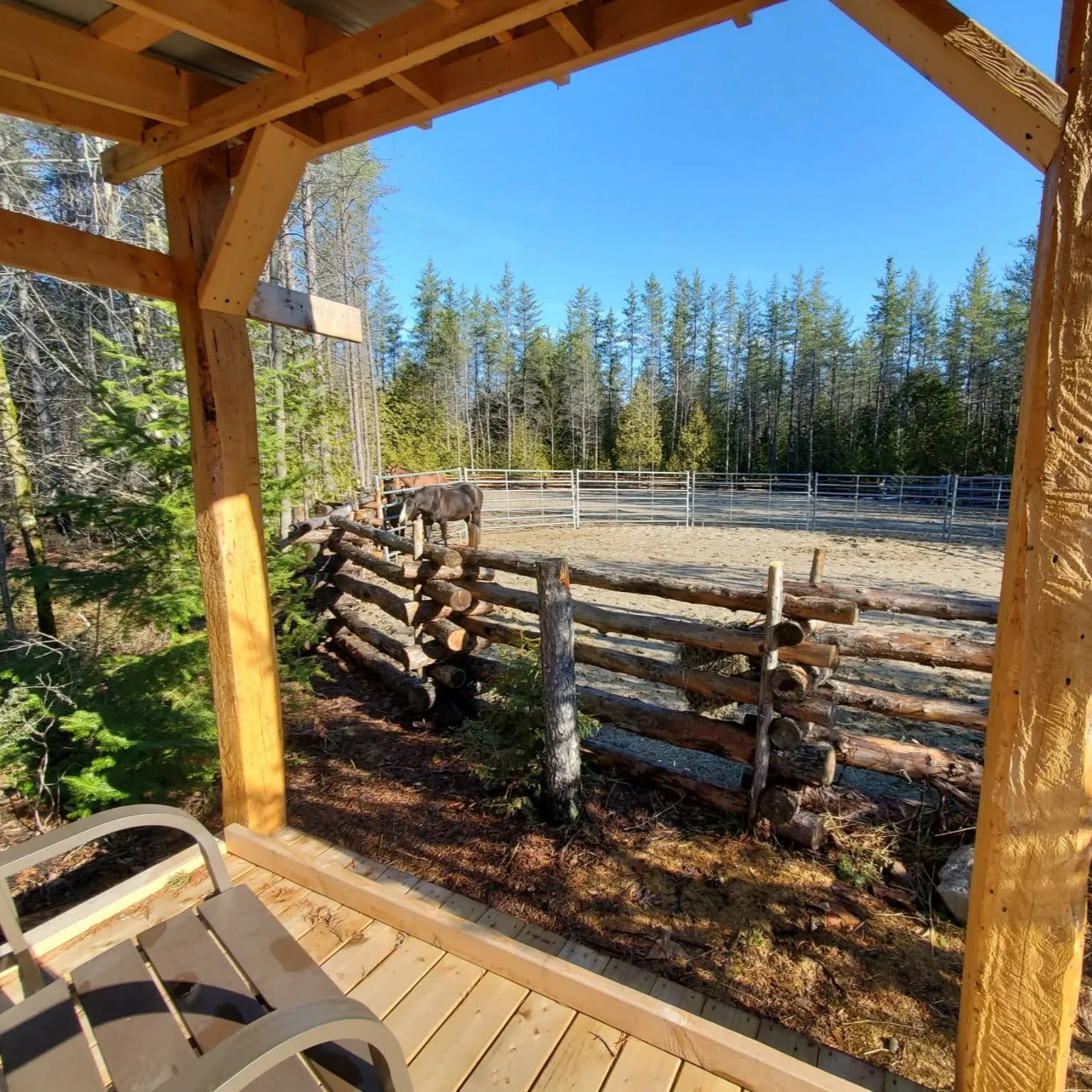 View our horses in the paddock or the arena from a deck that overlooks both.