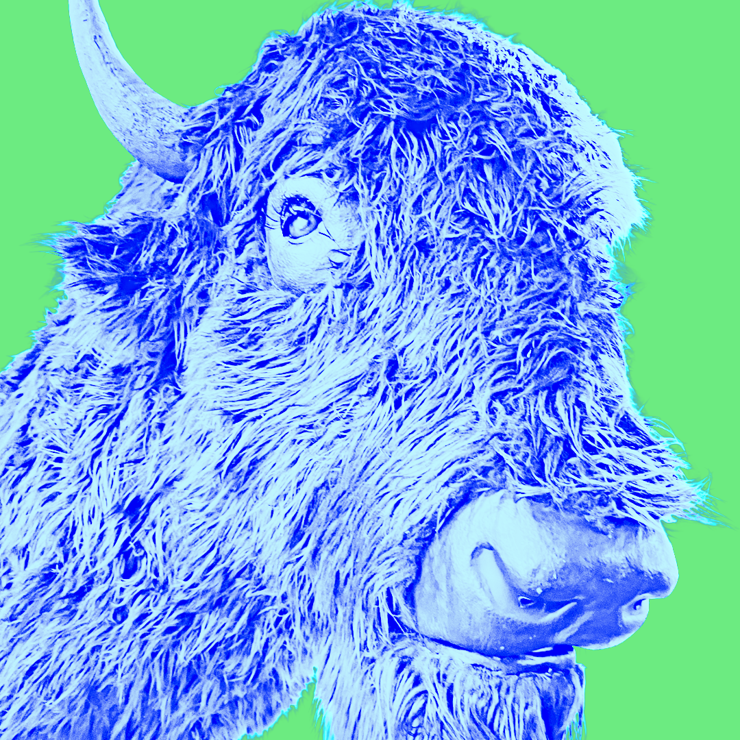 blue bison.png