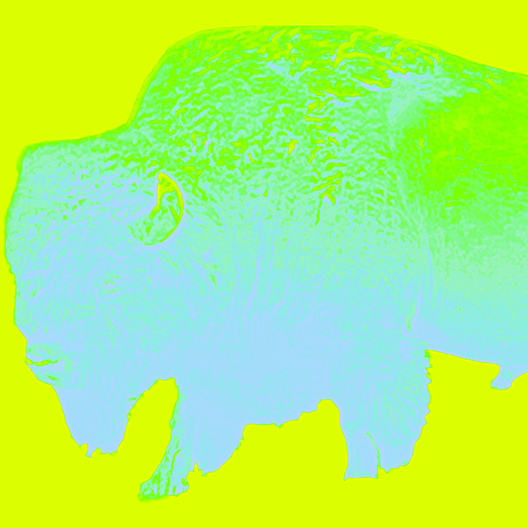 bison.png