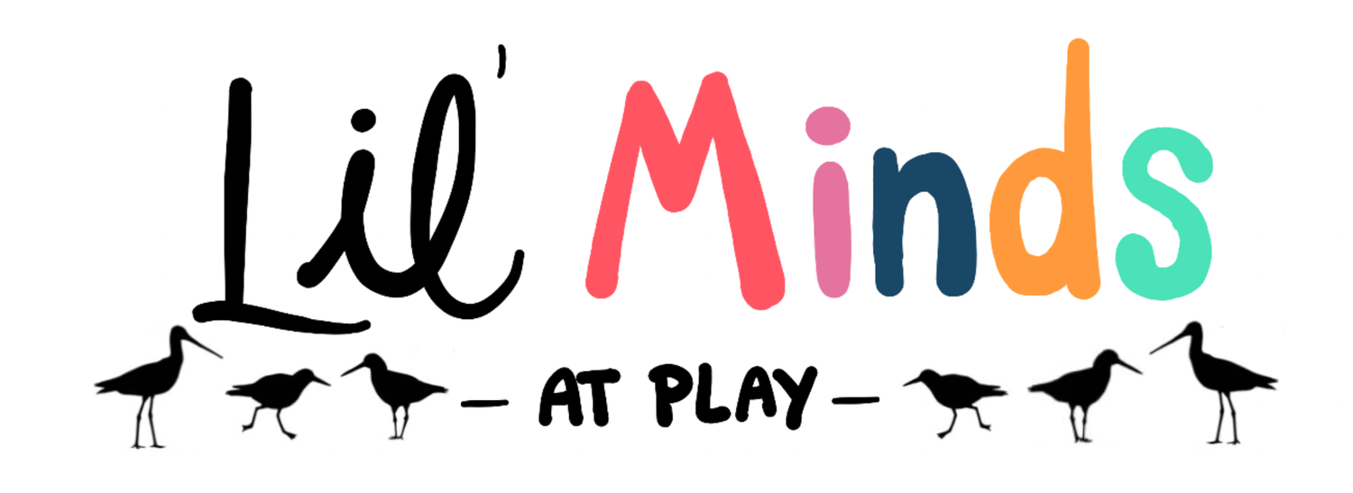 Lil' Minds at Play