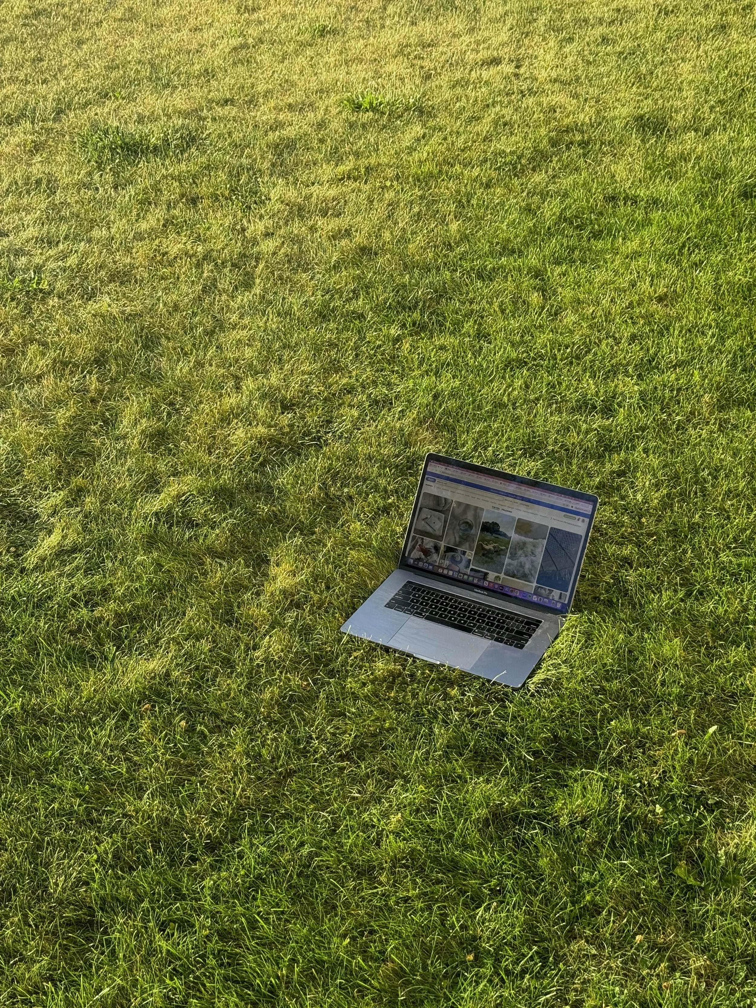 Virtual vs In-Person Therapy in Michigan and Utah: Which Is Right for You?