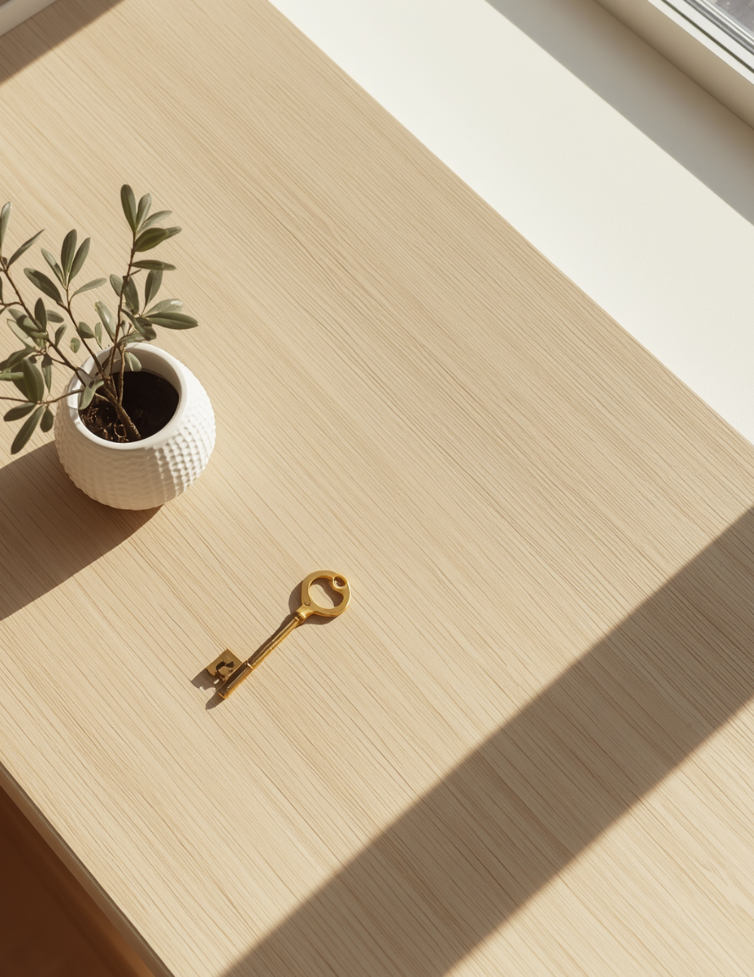 Bright minimalist California living room with a green olive branch, representing a simple home transition with SimpliMoveIn.