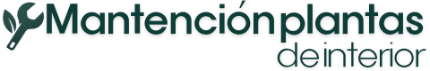 Mantencion Plantas de interior