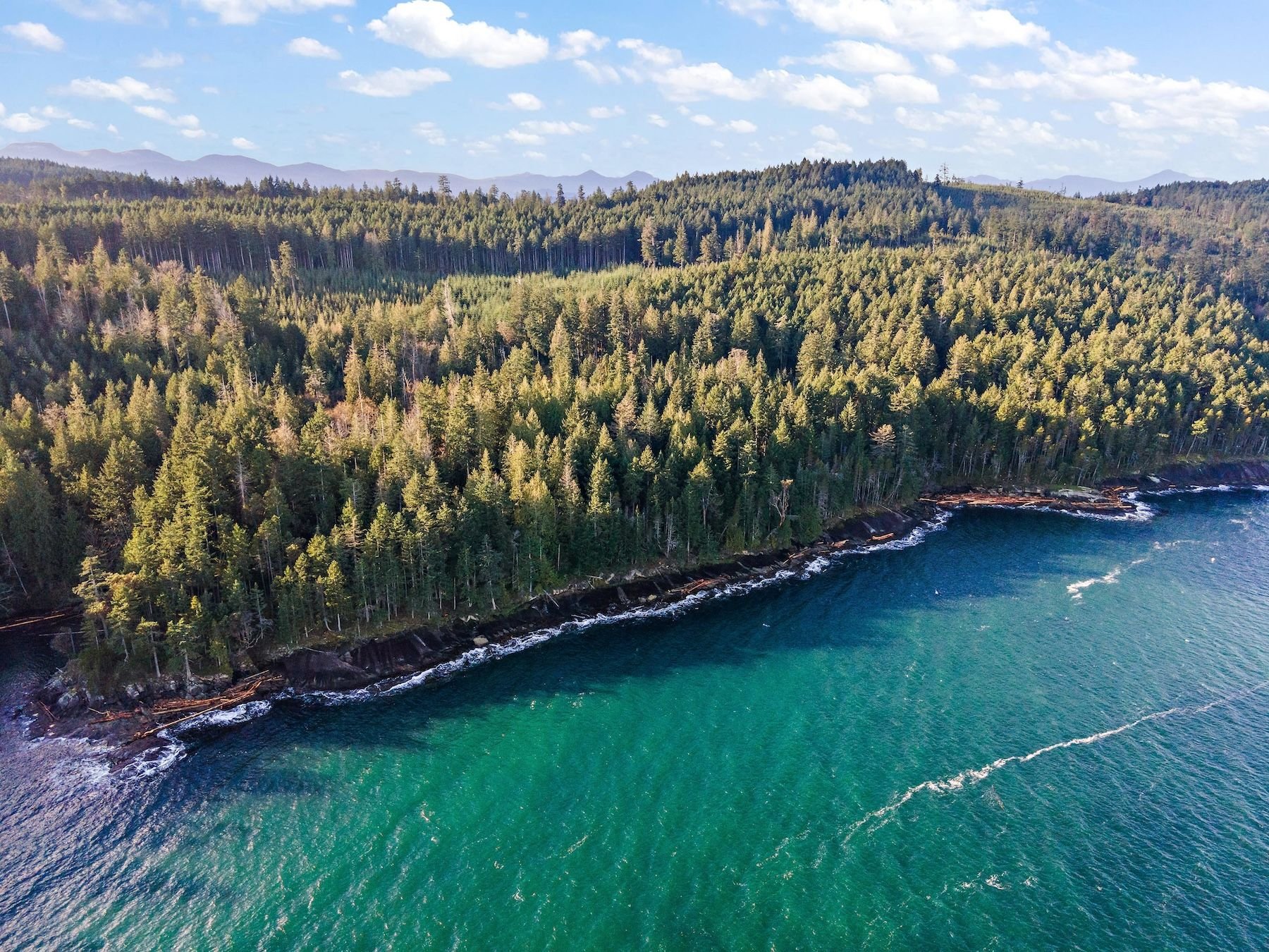 Sunlit Coastline with Sparkling Water