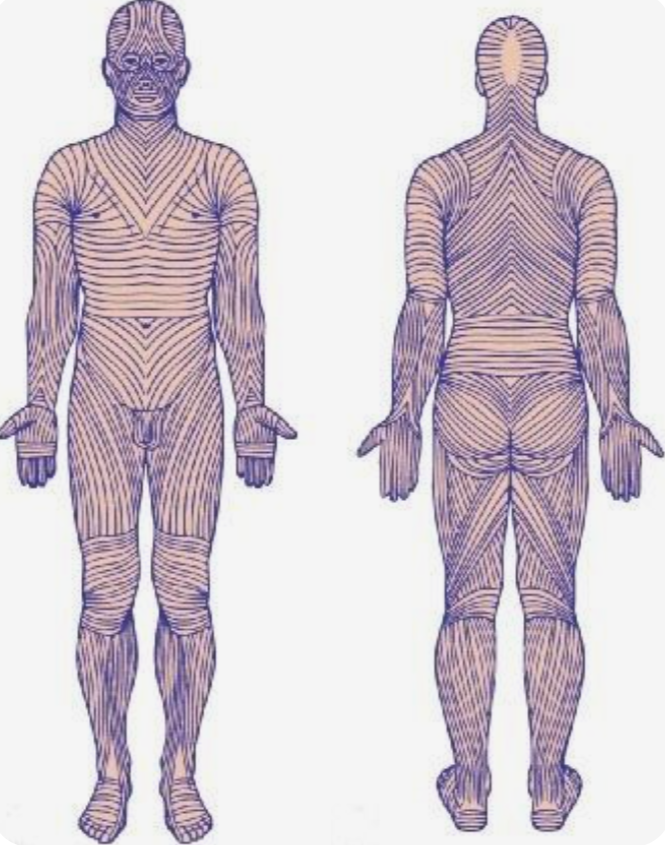 Screenshot 2026-02-10 113758.png