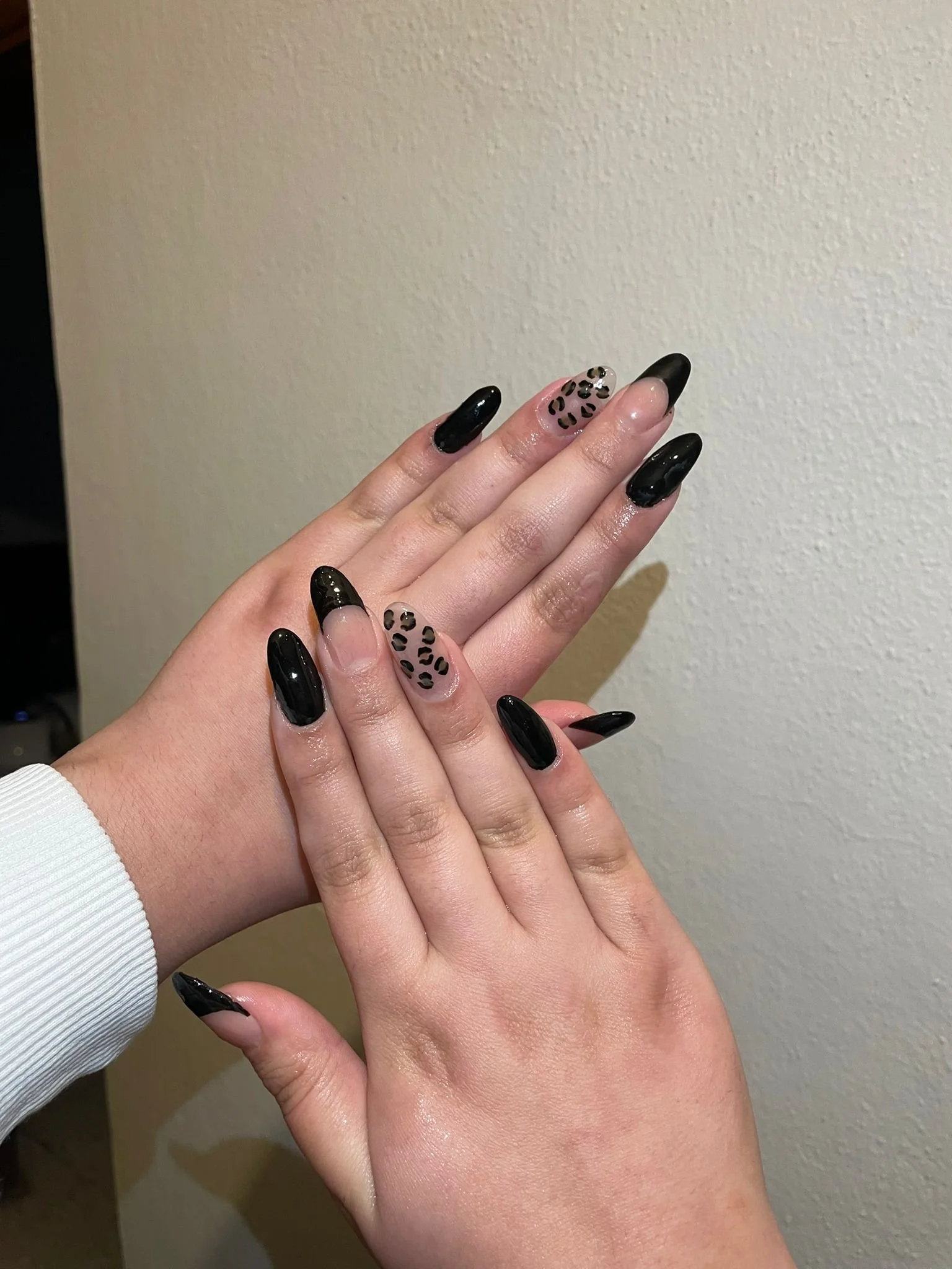 WhatsApp Image 2026-02-08 at 01.21.42.jpeg