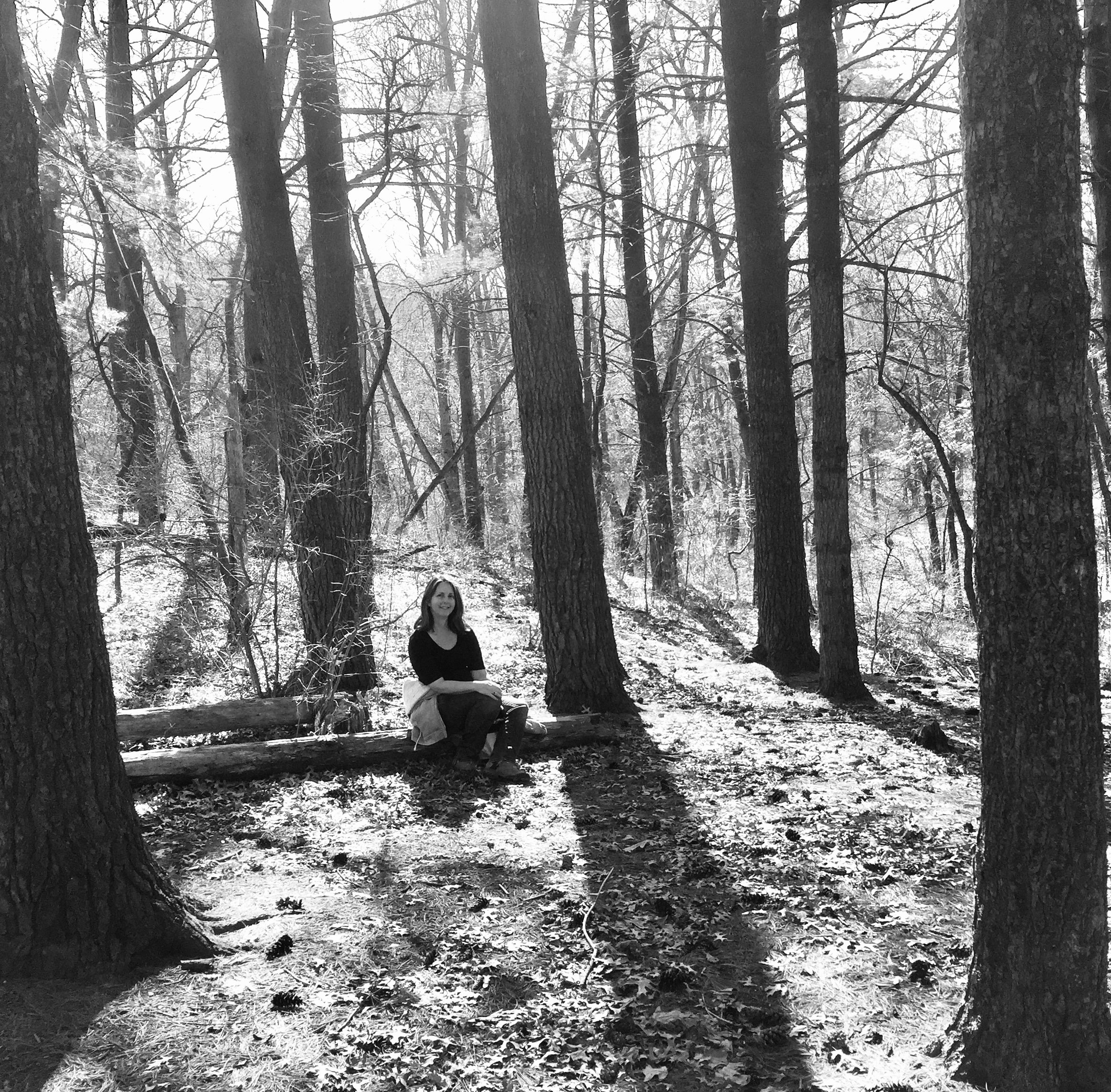 Lone Woods Meditation.jpg