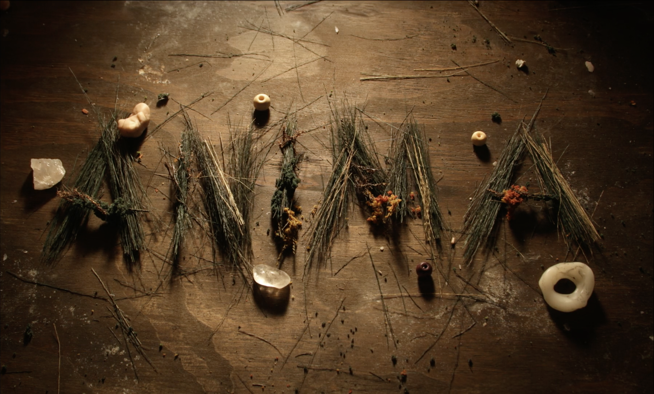 Screenshot 2026-02-09 at 4.55.22 PM.png