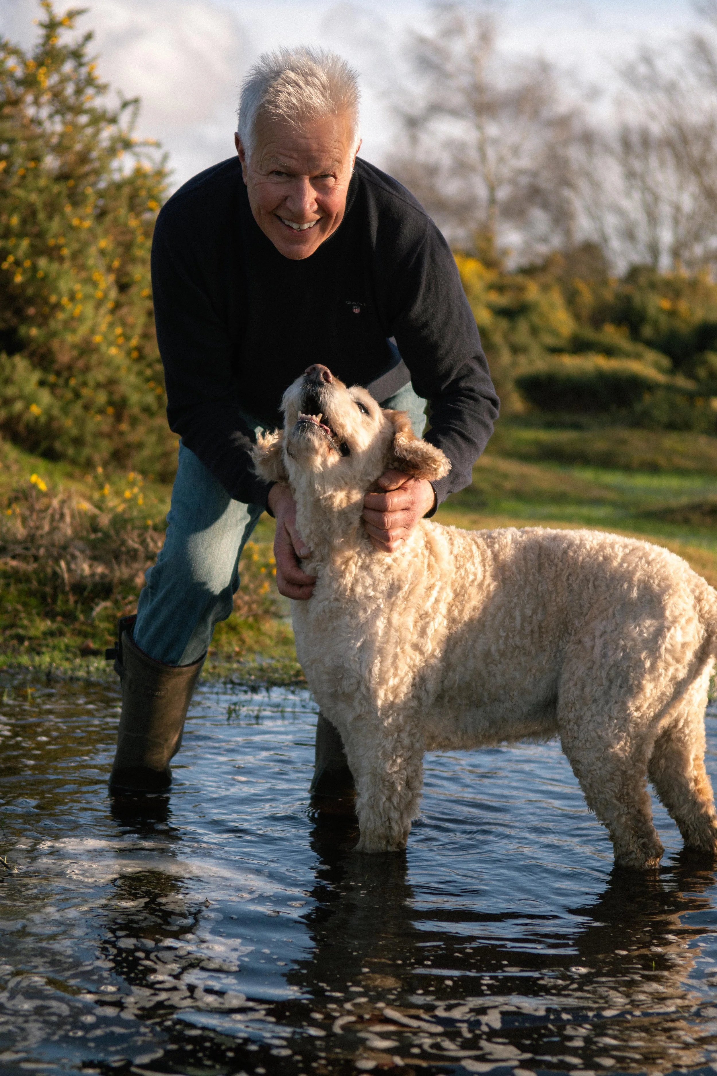 An elderly man with white hair smiling while playing with a large, curly-furred dog standing in shallow water outdoors during daytime.
