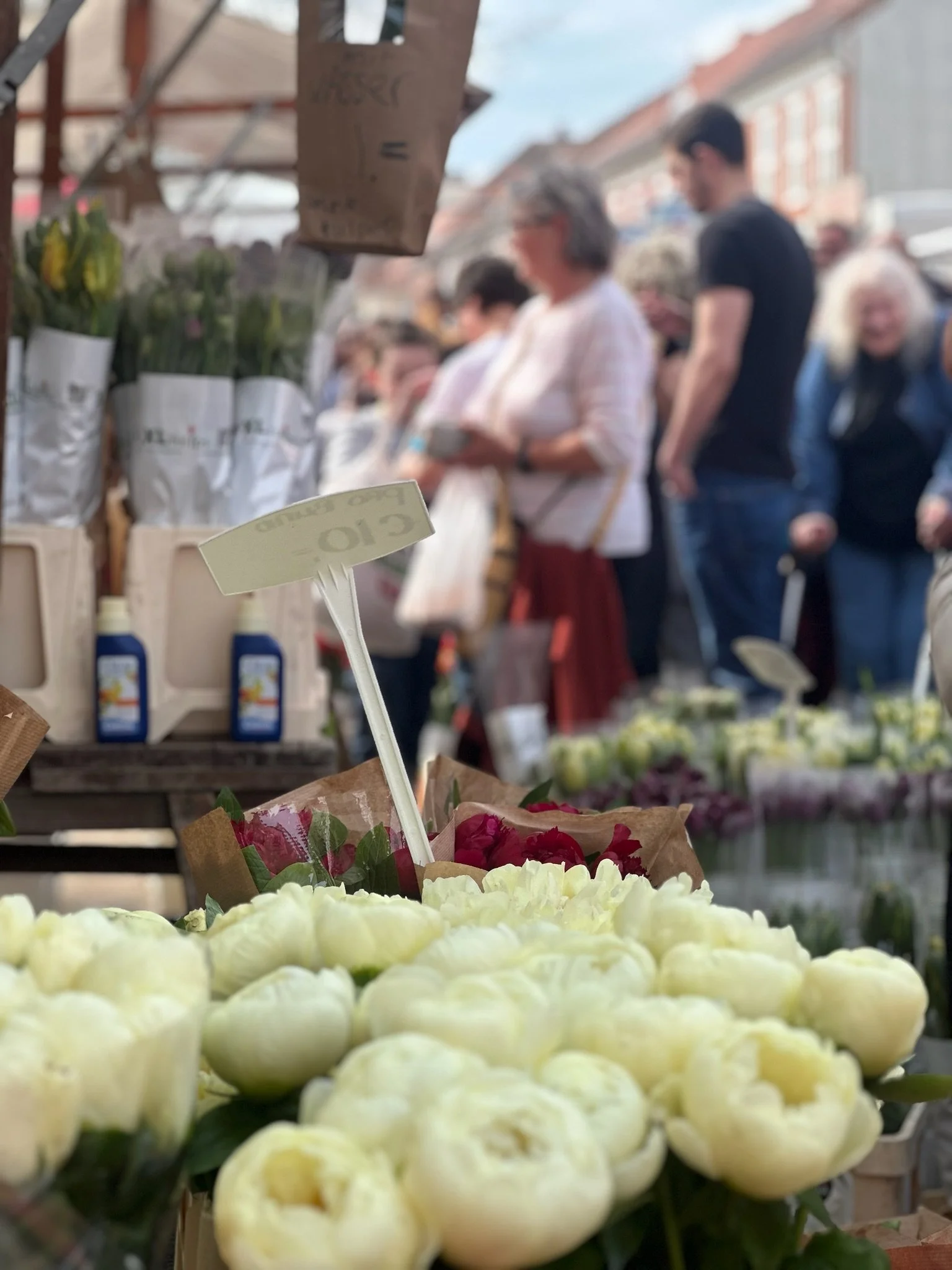 Tulpenfest in Potsdam