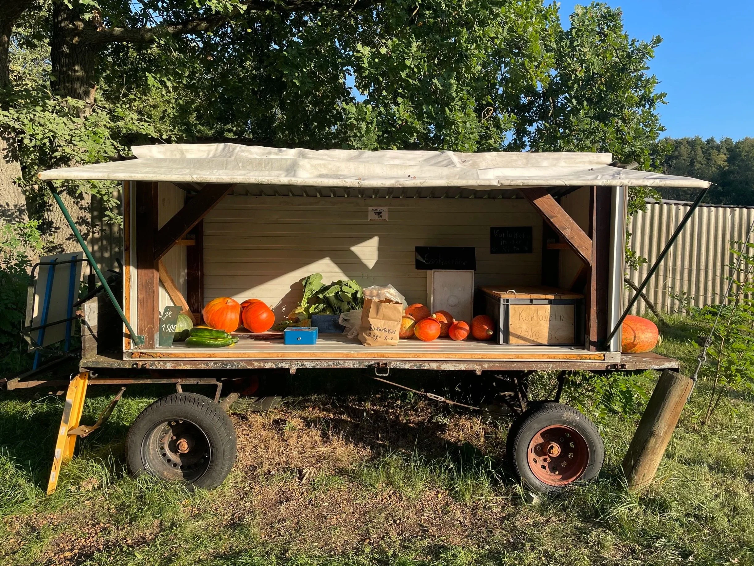 Frisches Obst und Gemüse aus der Nachbarschaft – 
Selbstbedienungsstand in der Nähe