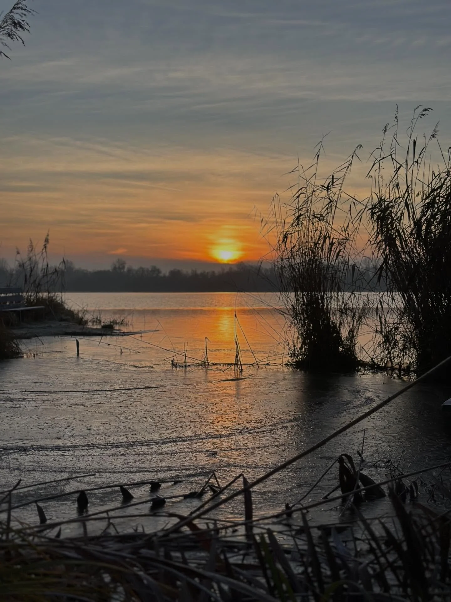 Der 18. Dezember. 
Letzte Nacht hat es gefroren. Der See liegt still, das Schilf ist von Eis &uuml;berzogen, die Luft klar und kalt. Alles wirkt angehalten - als w&uuml;rde die Natur noch einmal tief durchatmen, bevor Weihnachten kommt. 

In wenige T